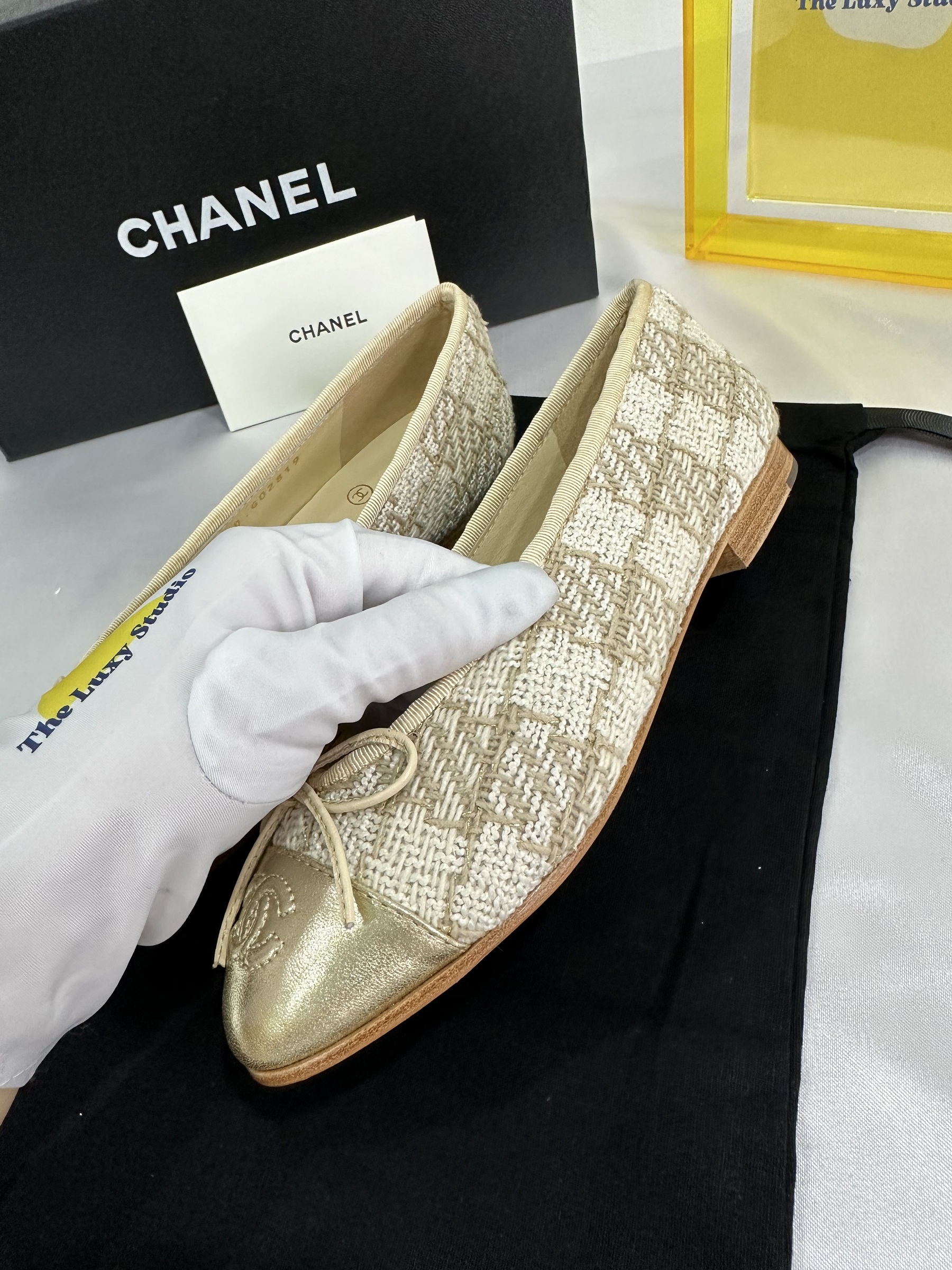 IMG_7973-1697813101207