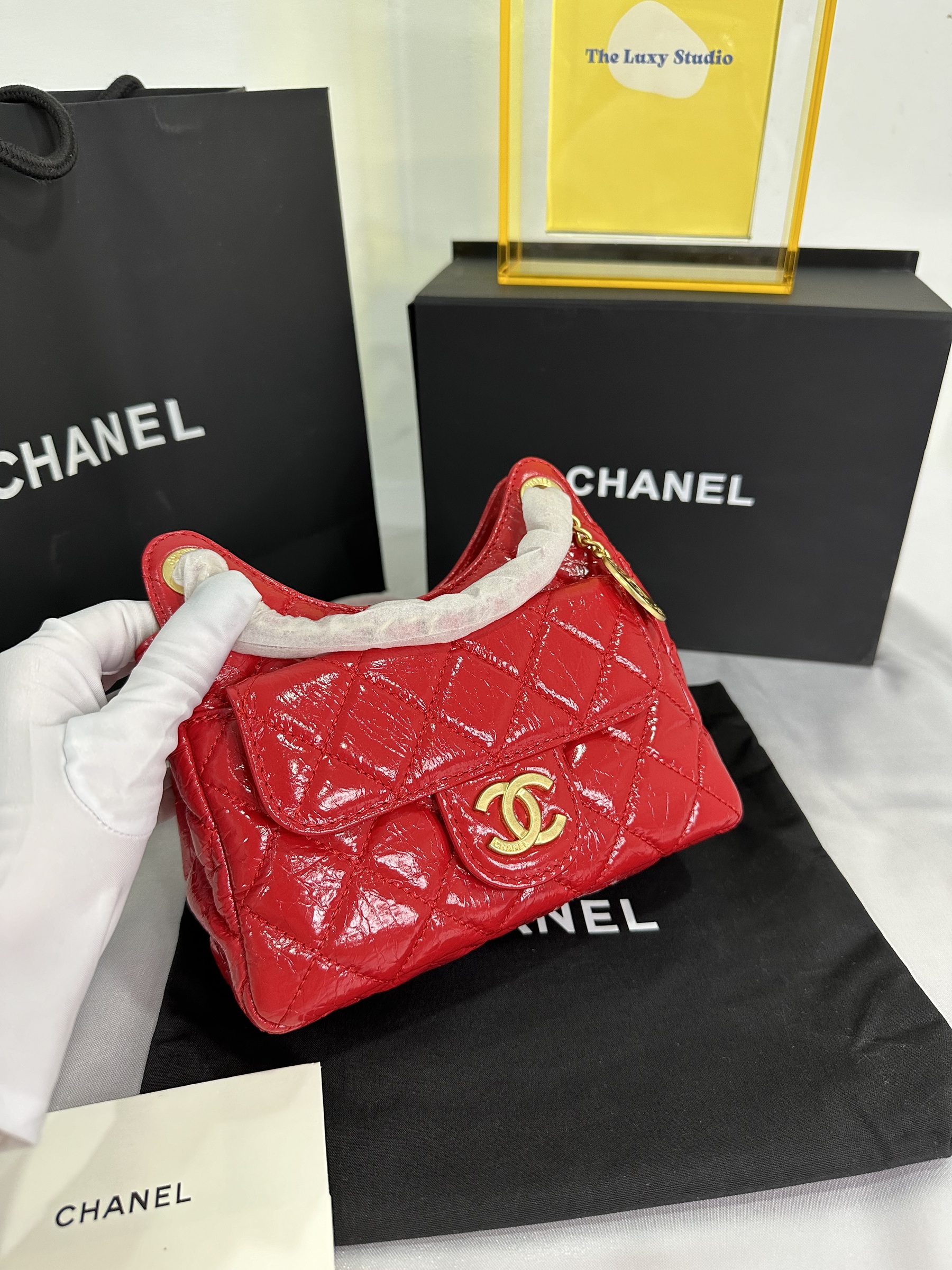 IMG_7898-1697894486926