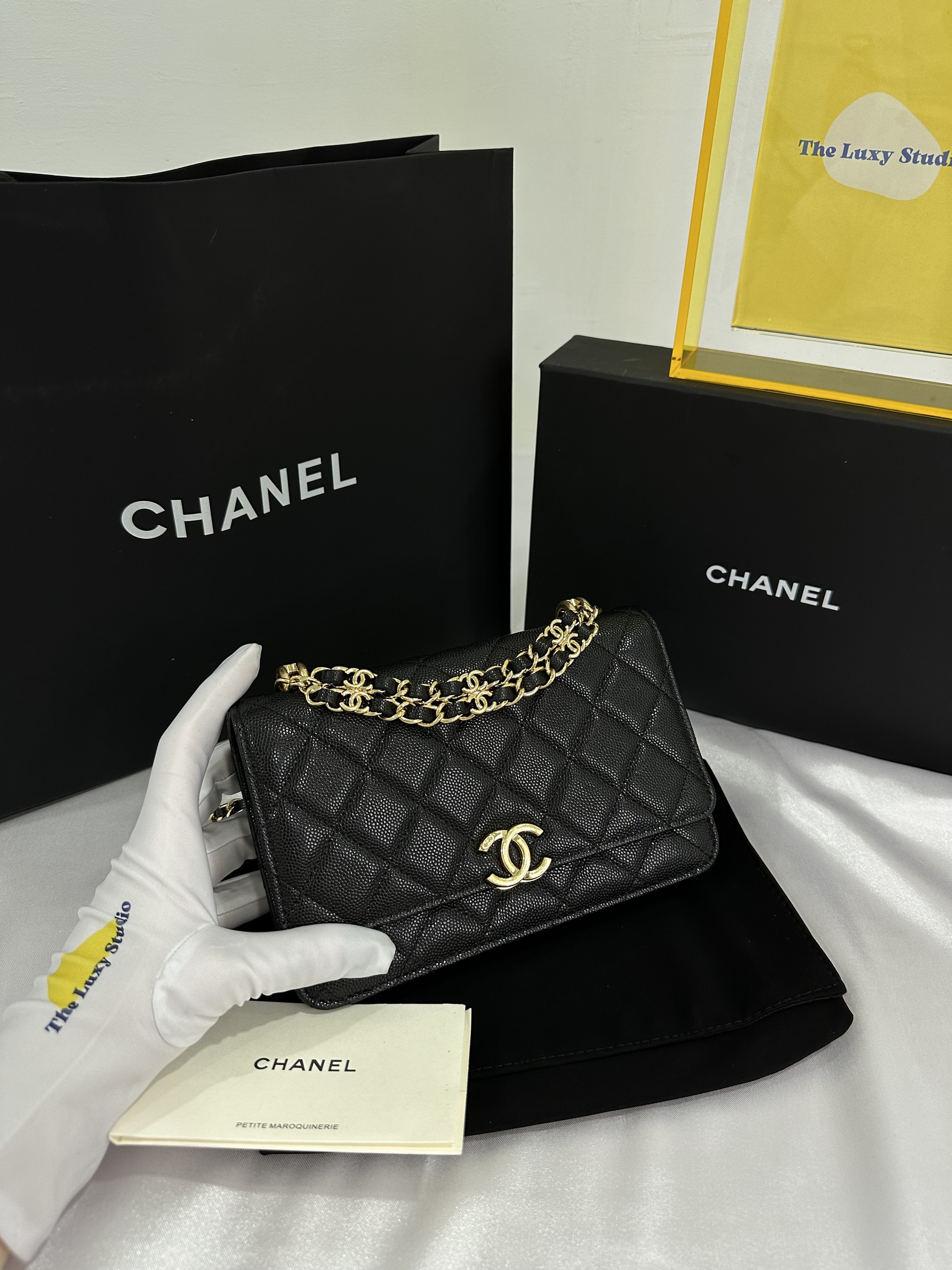 IMG_7953-1697895514345