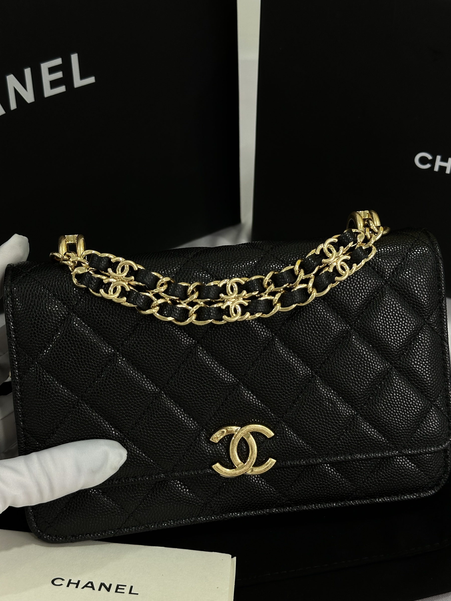 IMG_7954-1697895514471