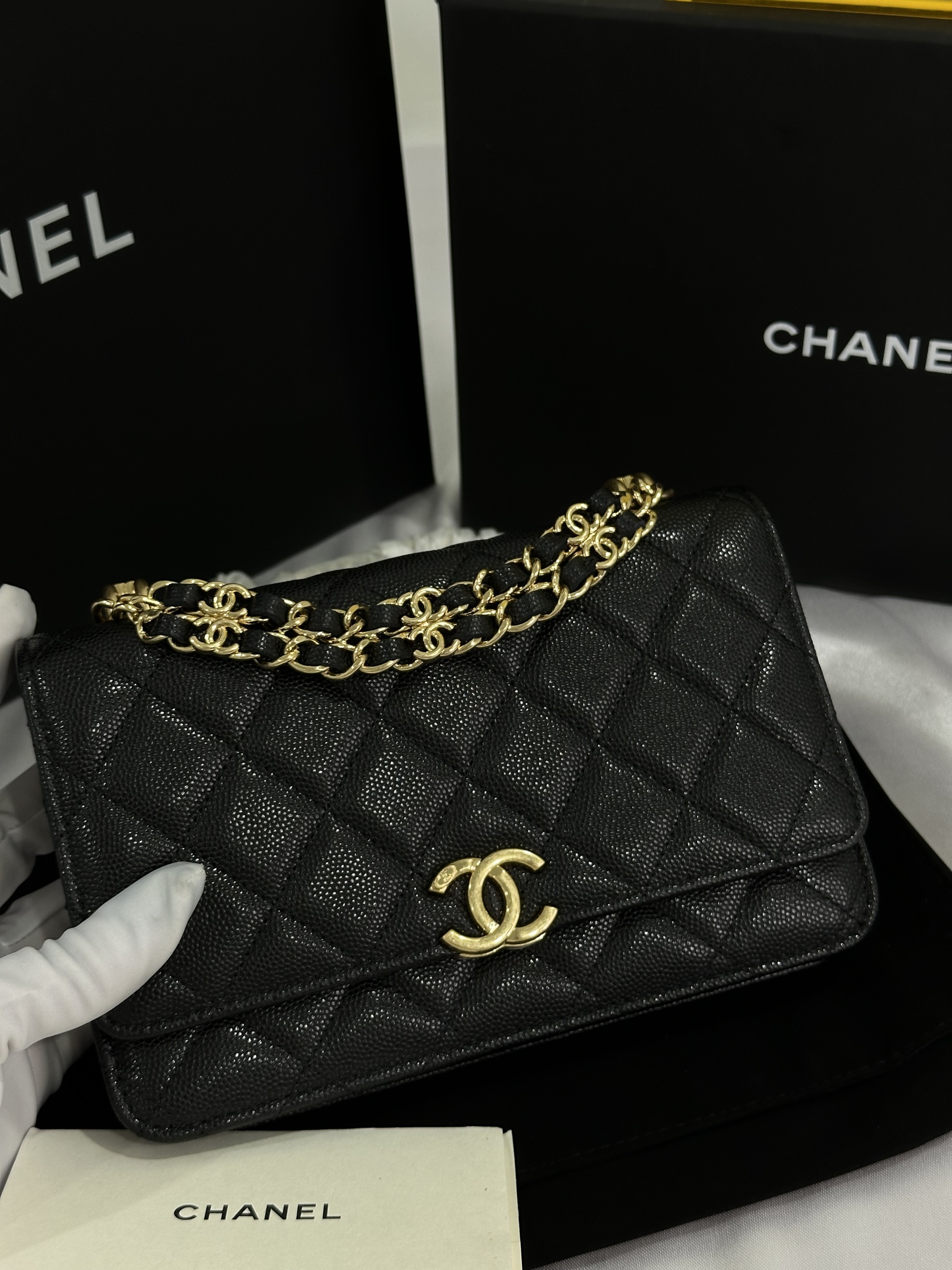 IMG_7955-1697895514597