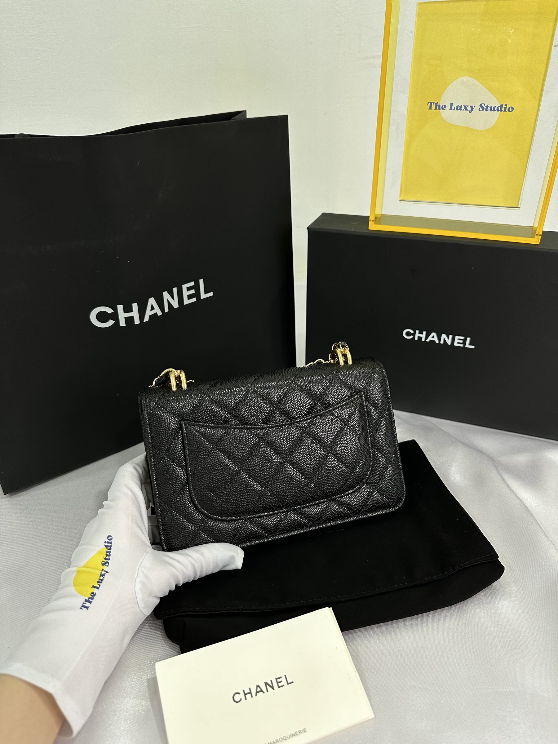 IMG_7957-1697895514863