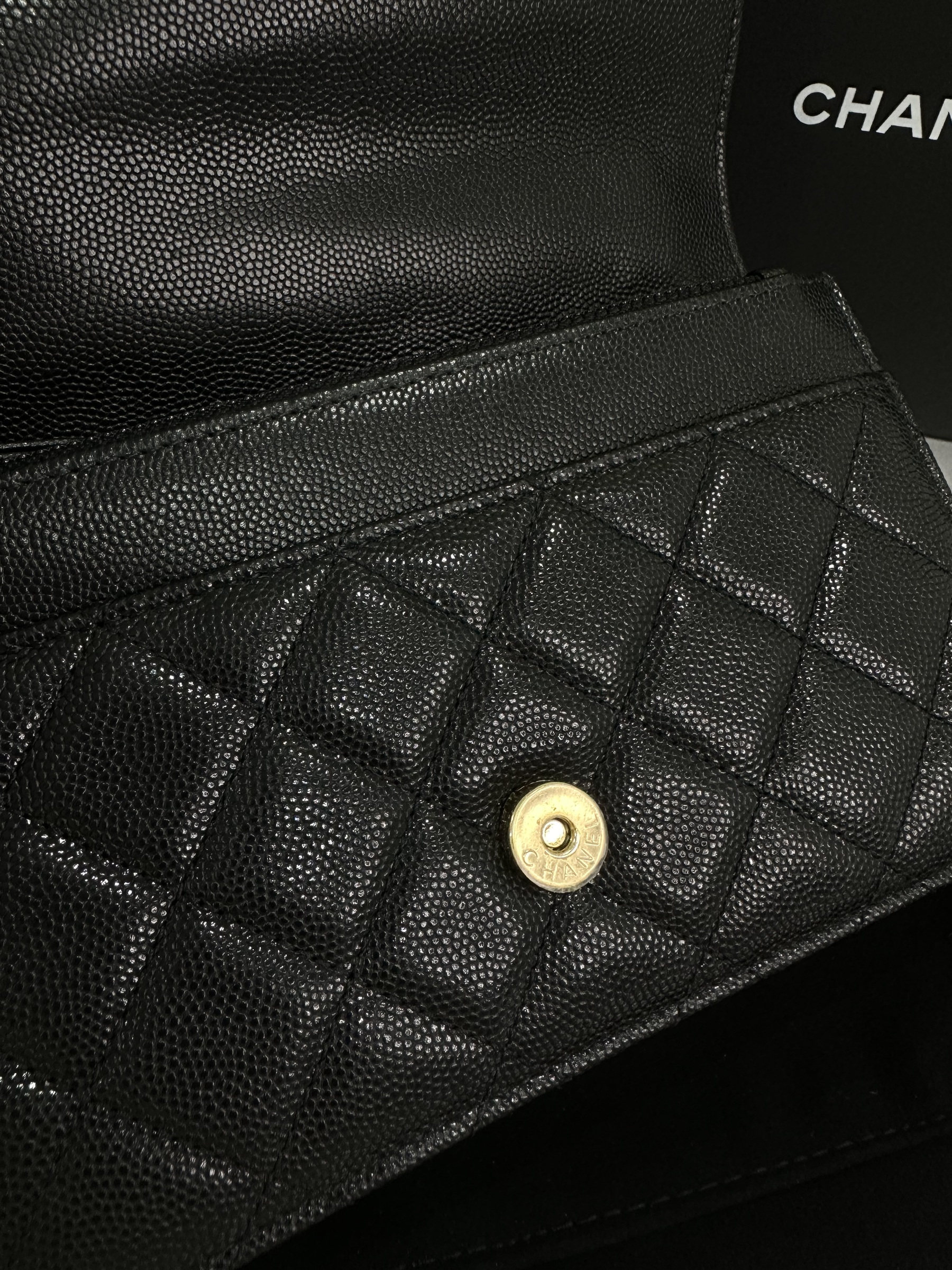 IMG_7960-1697895515123