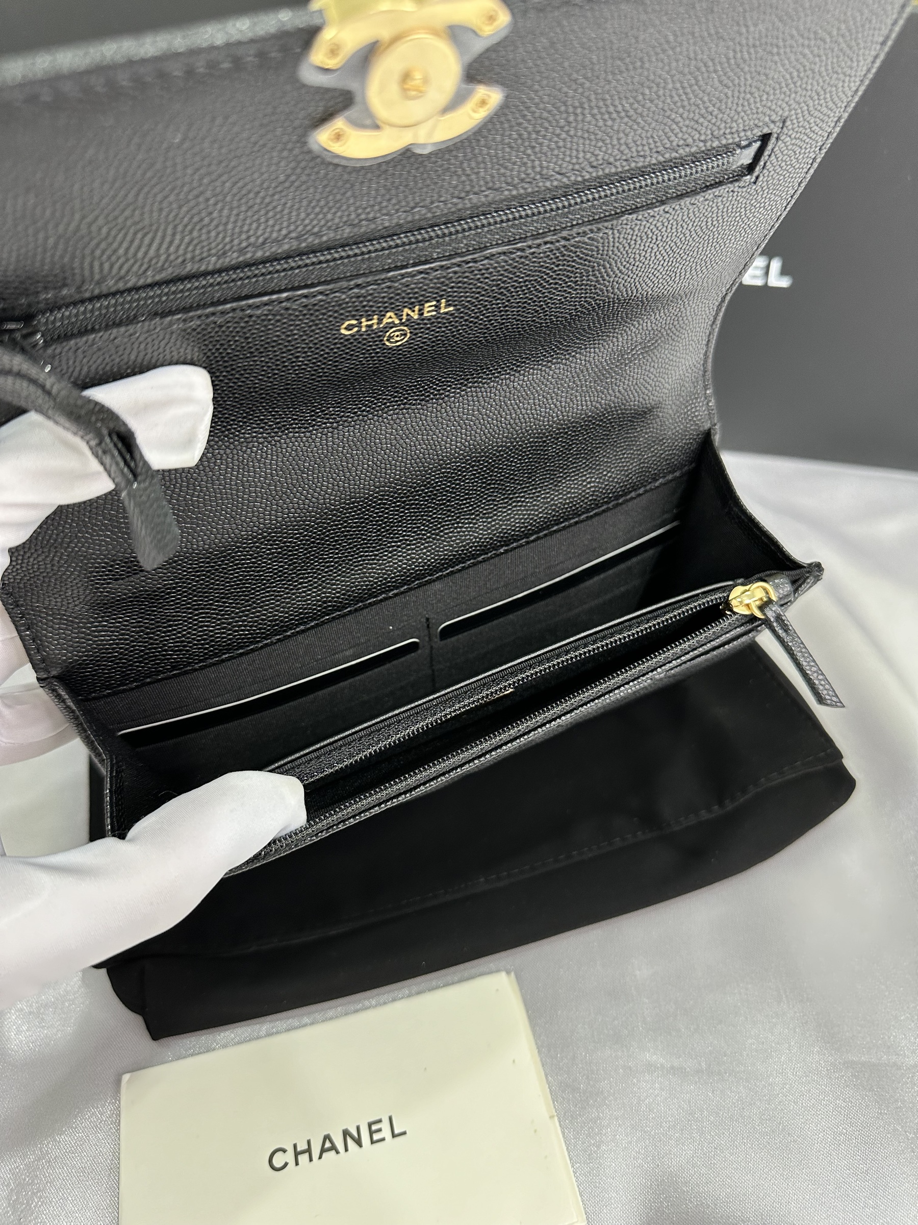 IMG_7962-1697895515404