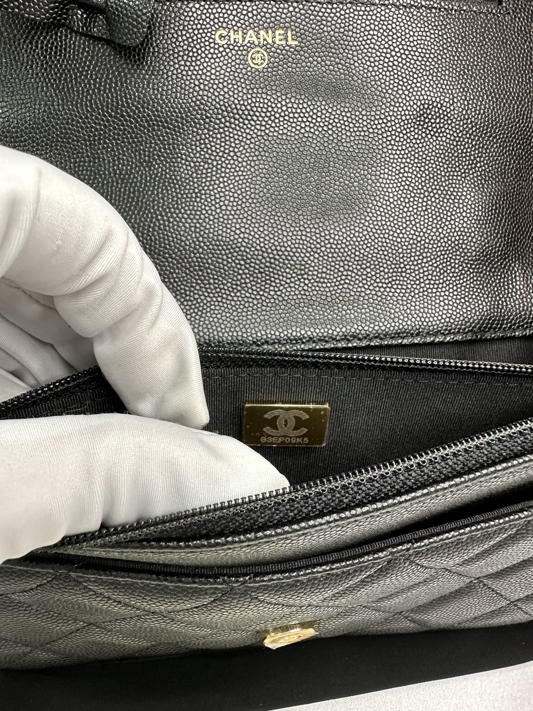 IMG_7964-1697895515544