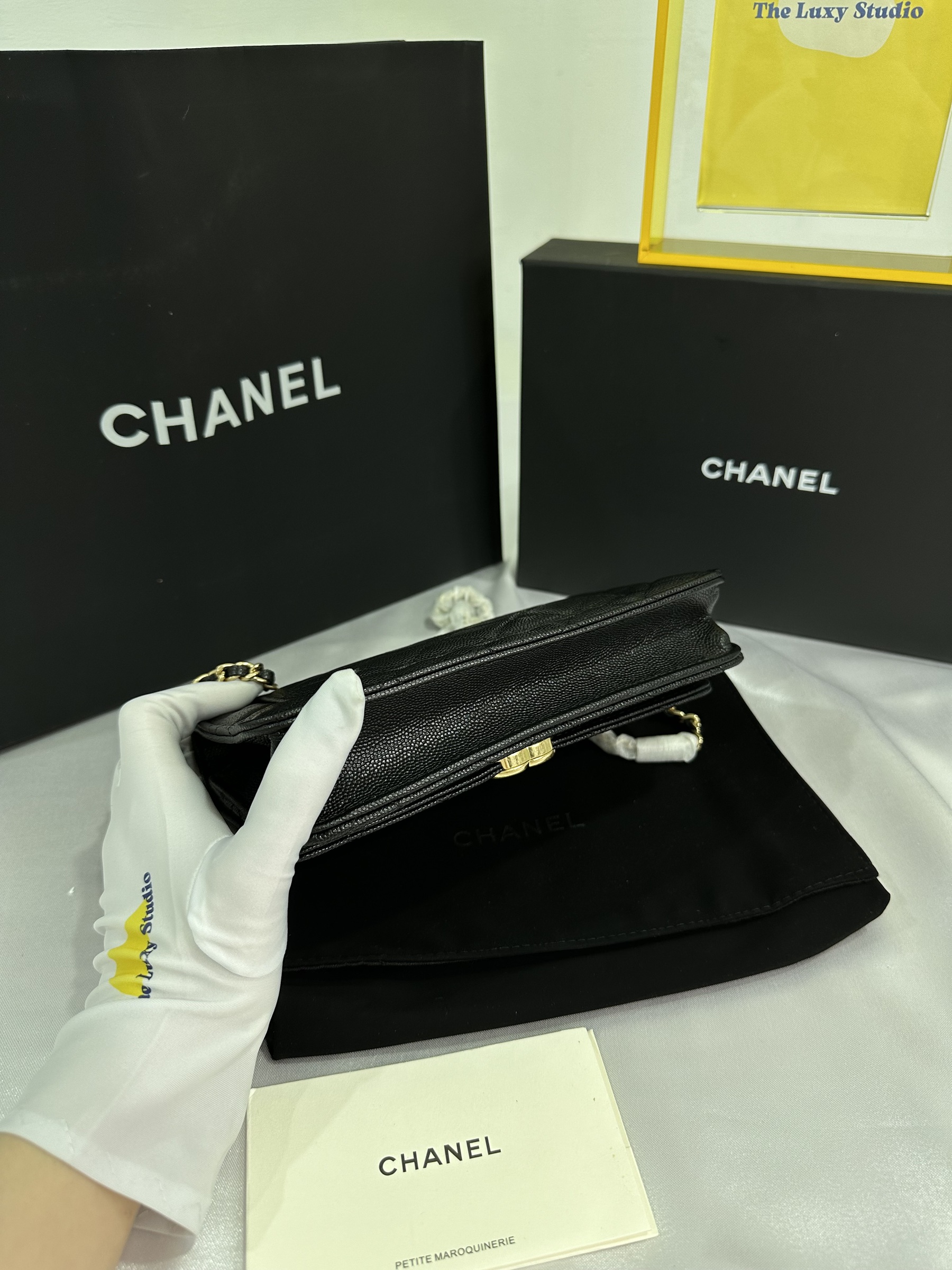 IMG_7958-1697895515671