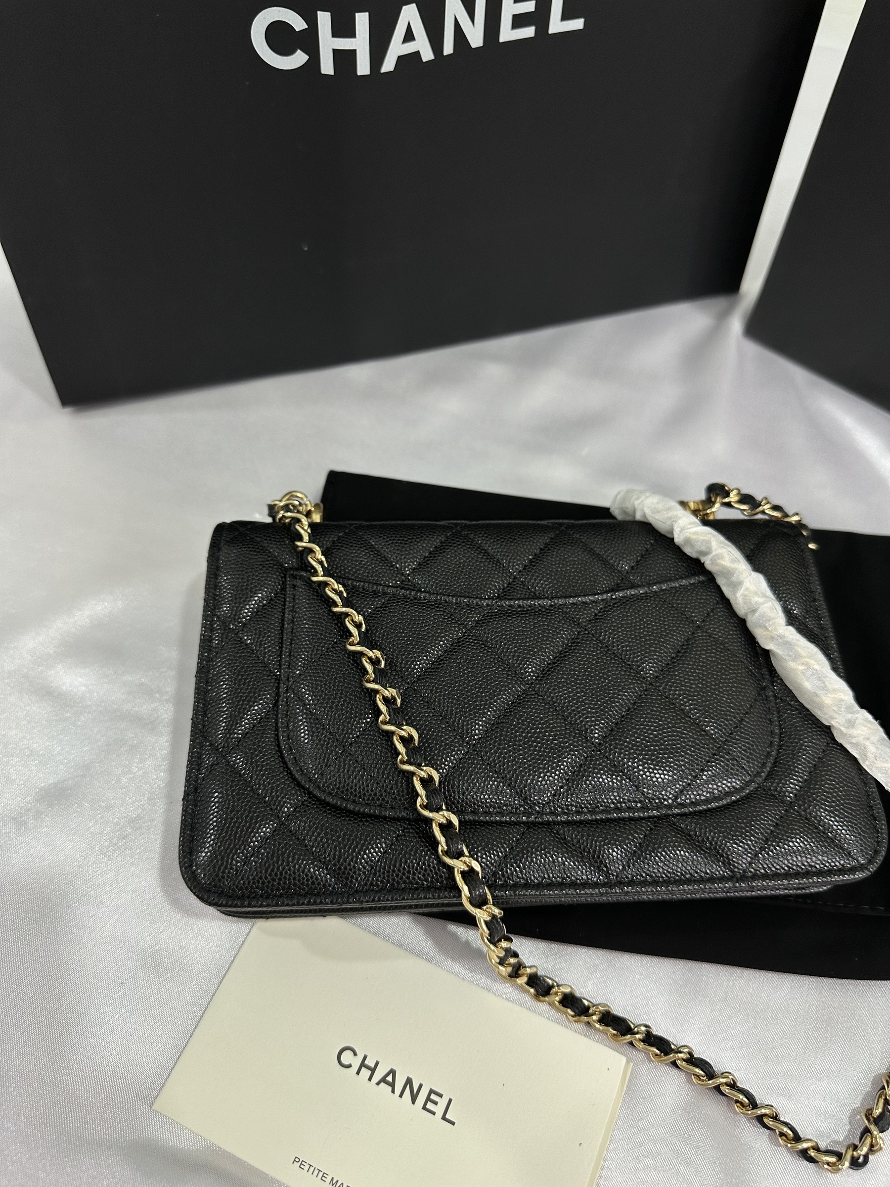 IMG_7965-1697895515797