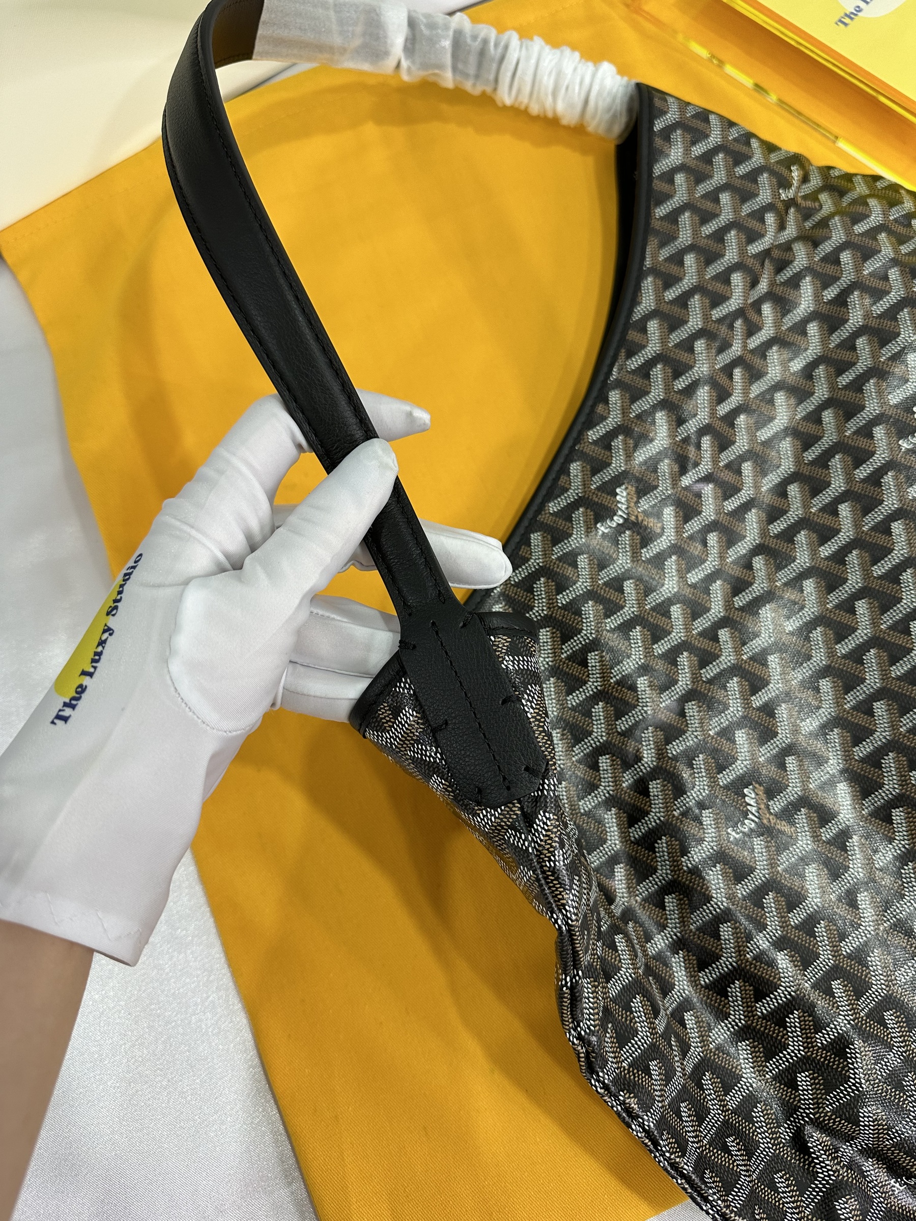 IMG_8572-1698586341246