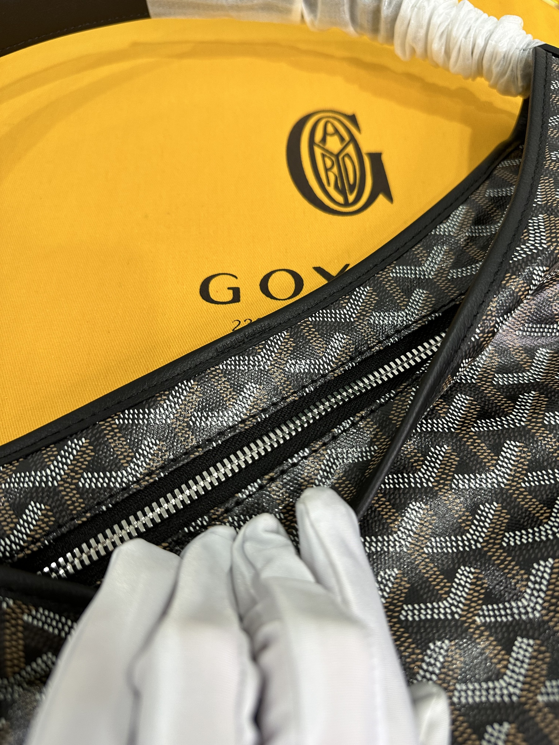 IMG_8574-1698586341671