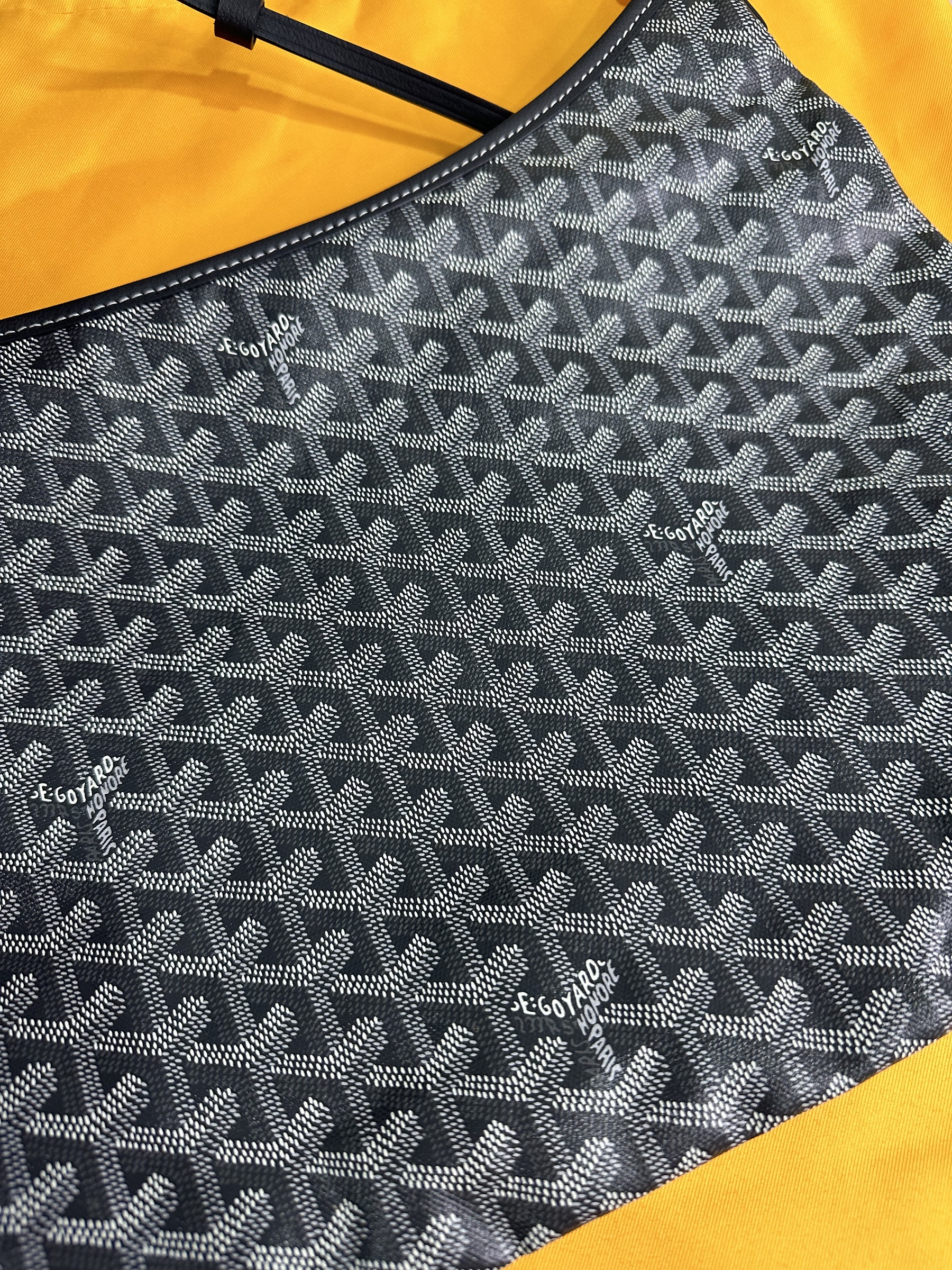 IMG_8586-1698586538026