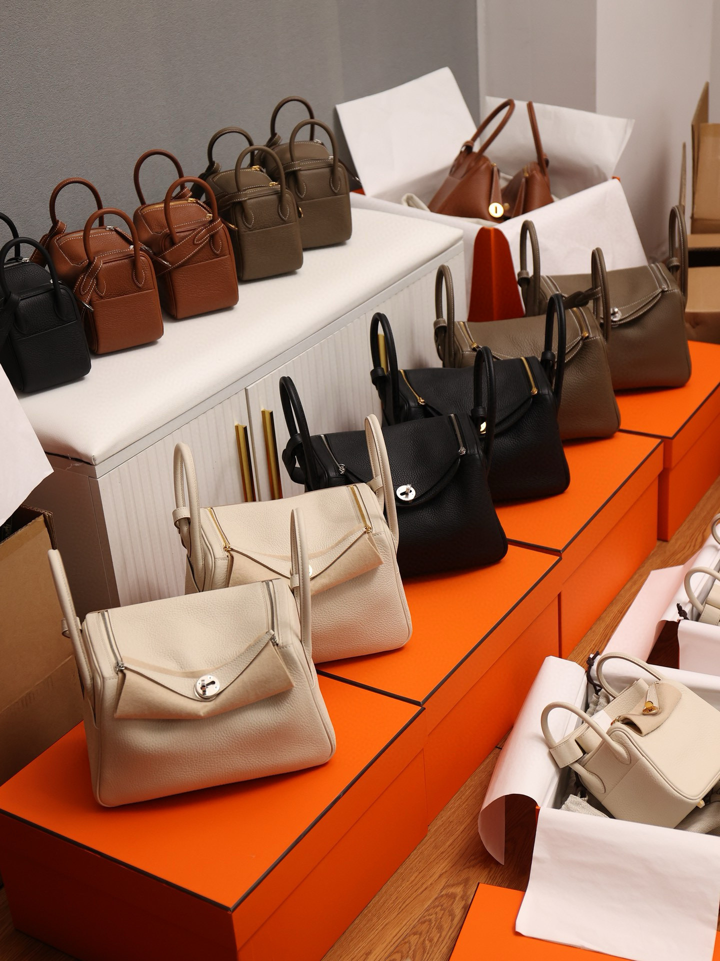 IMG_0457-1700575821996