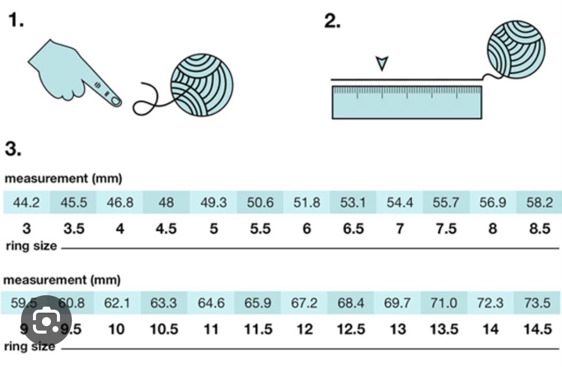 IMG_5868-1701870574954