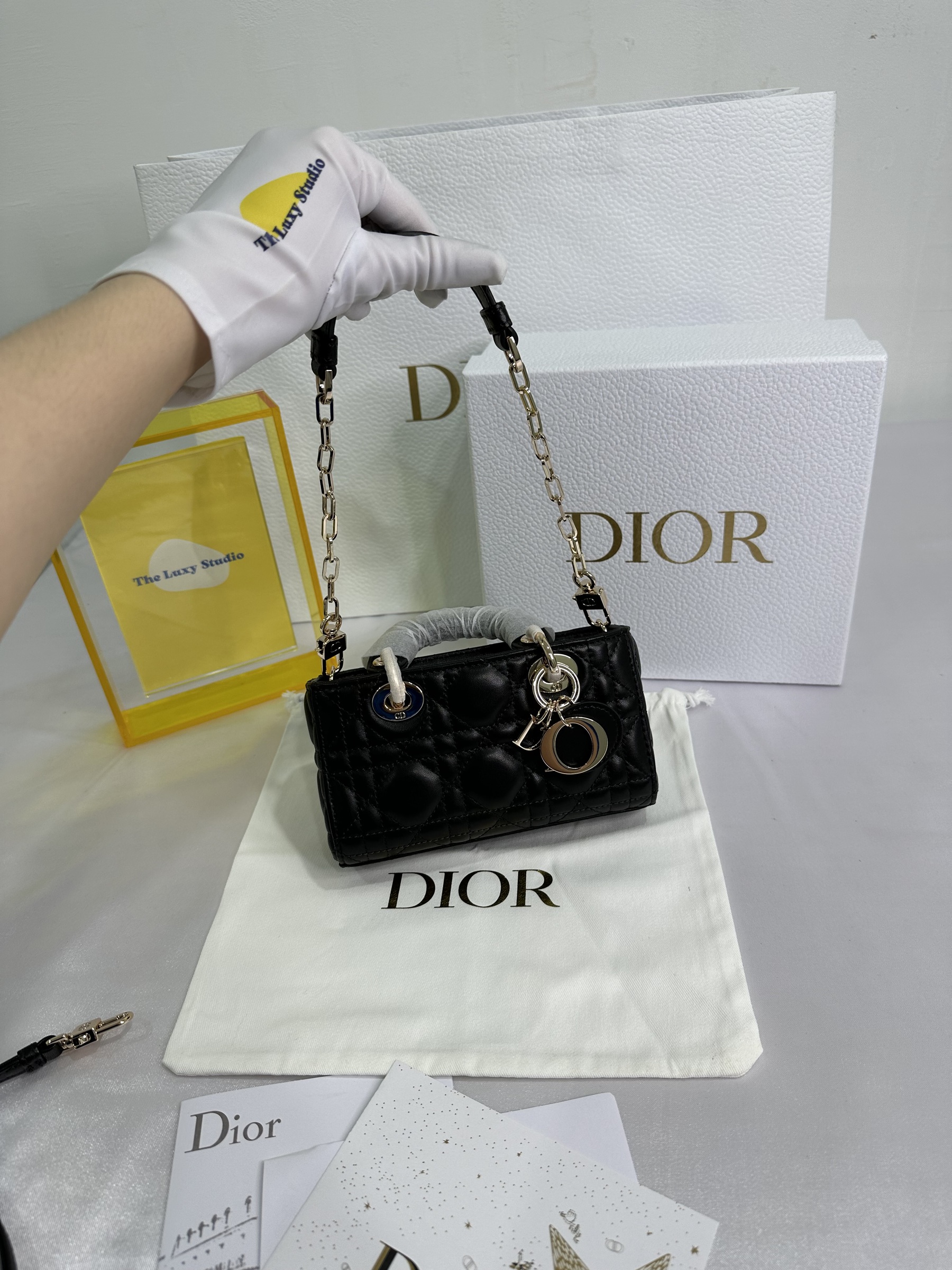 IMG_0805-1702642659751