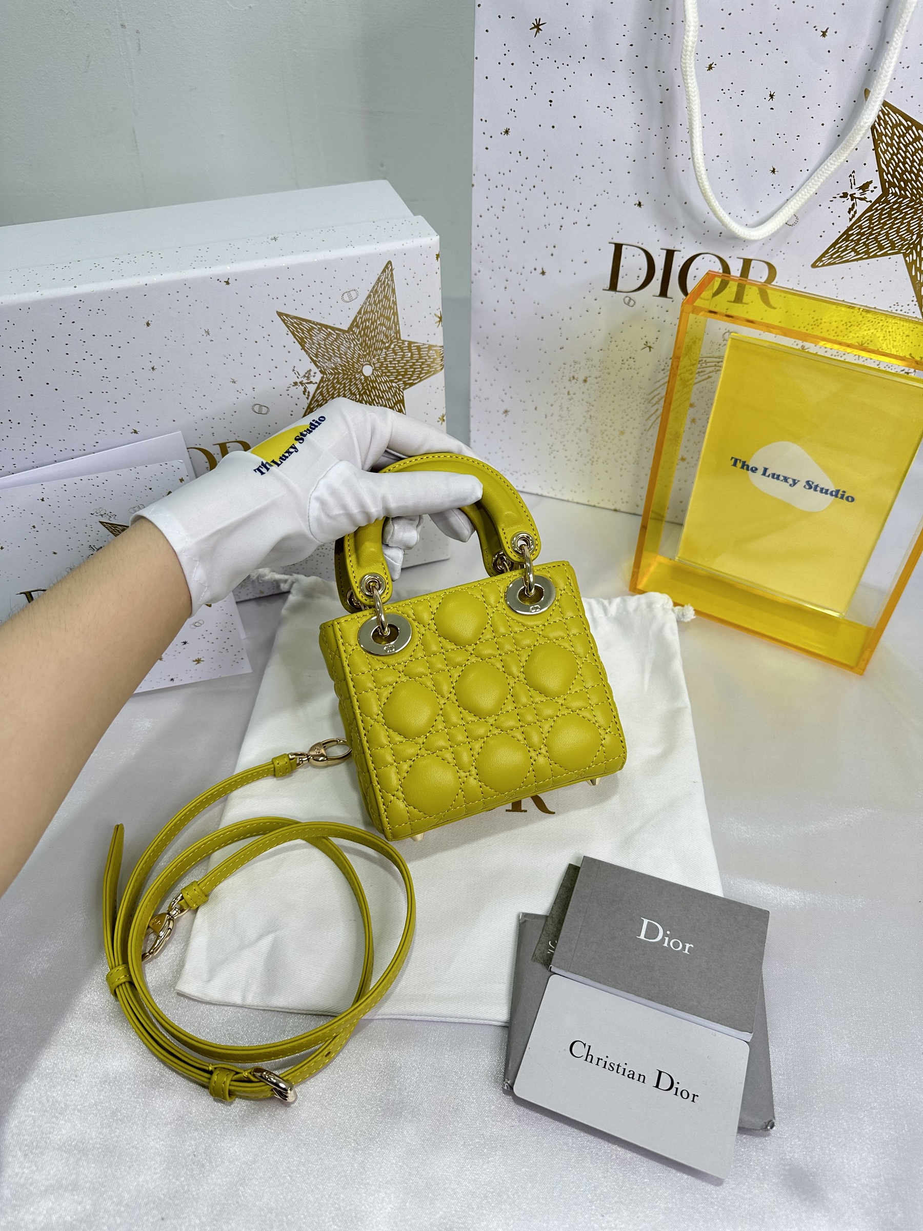 IMG_1145-1702644596717