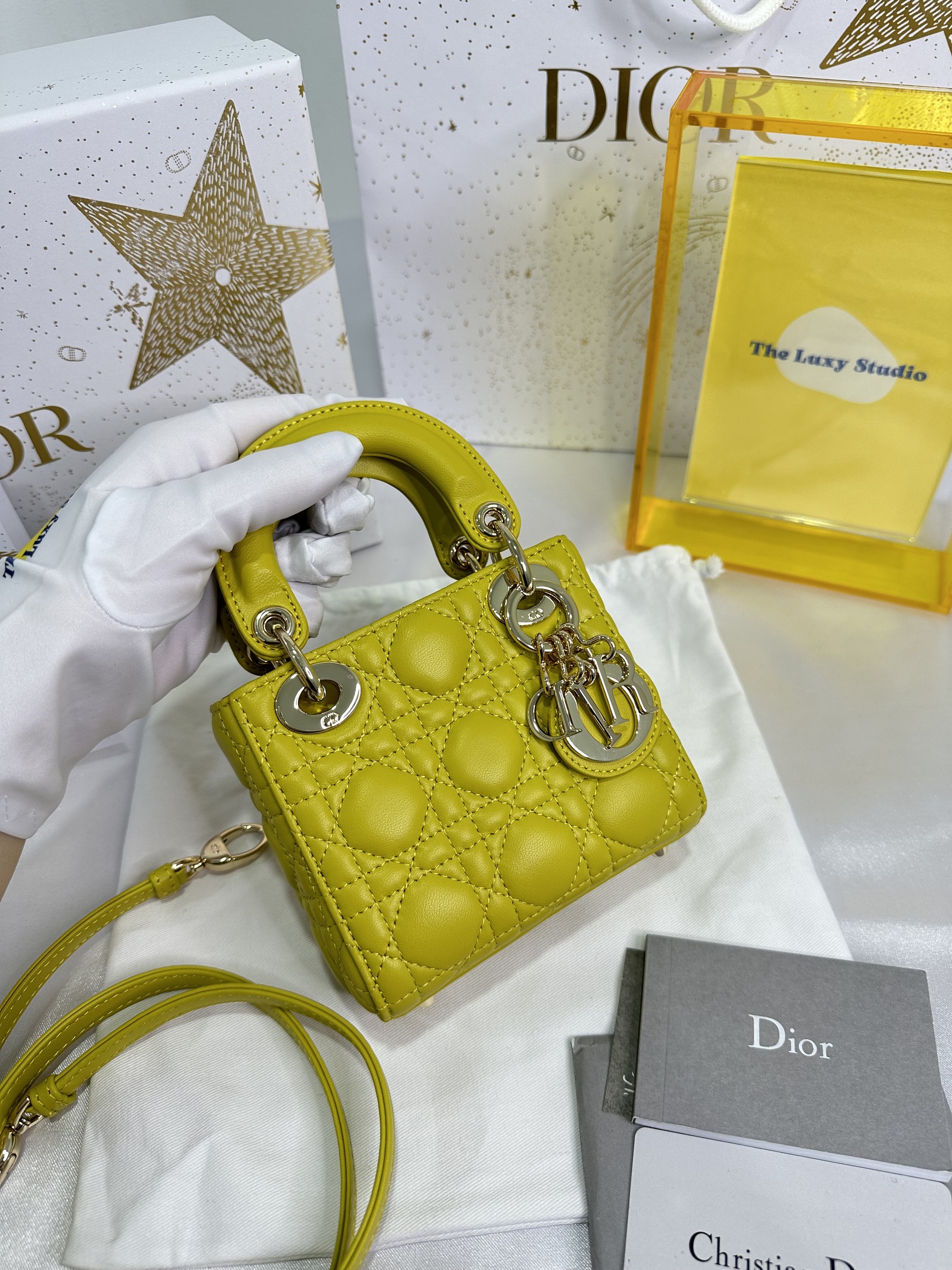 IMG_1147-1702644596861