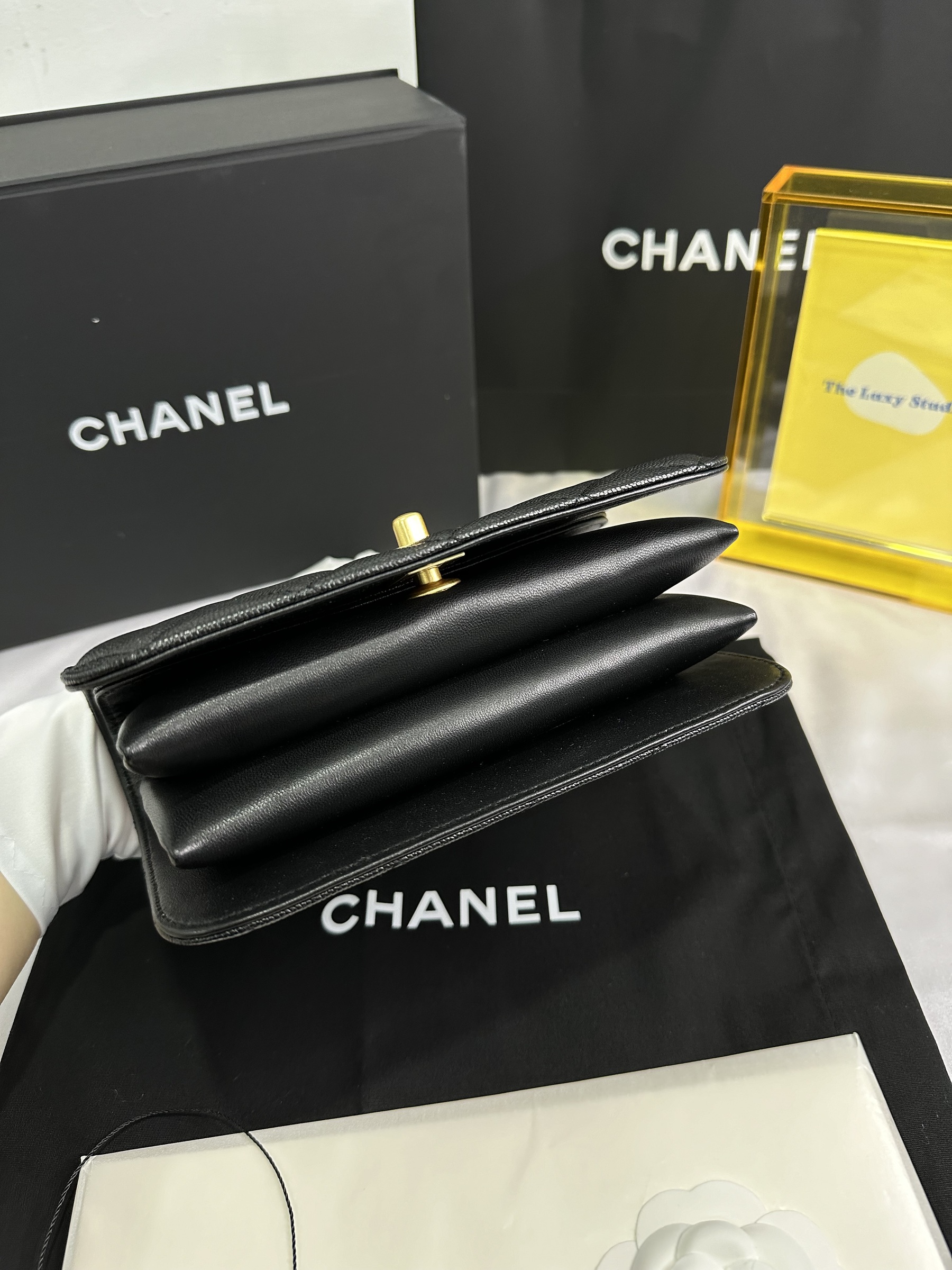 IMG_1091-1702644862724