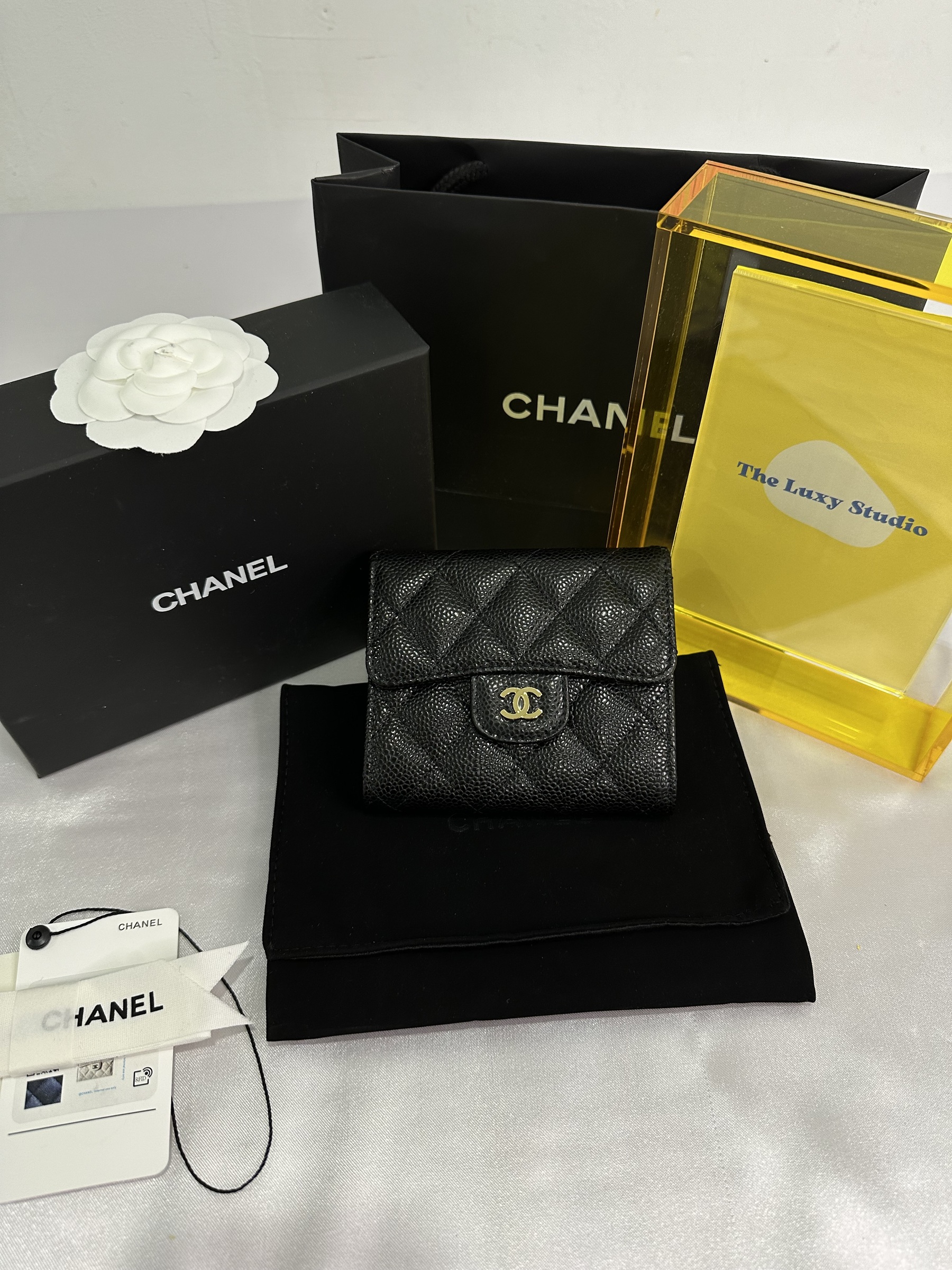 IMG_3573-1705588229795