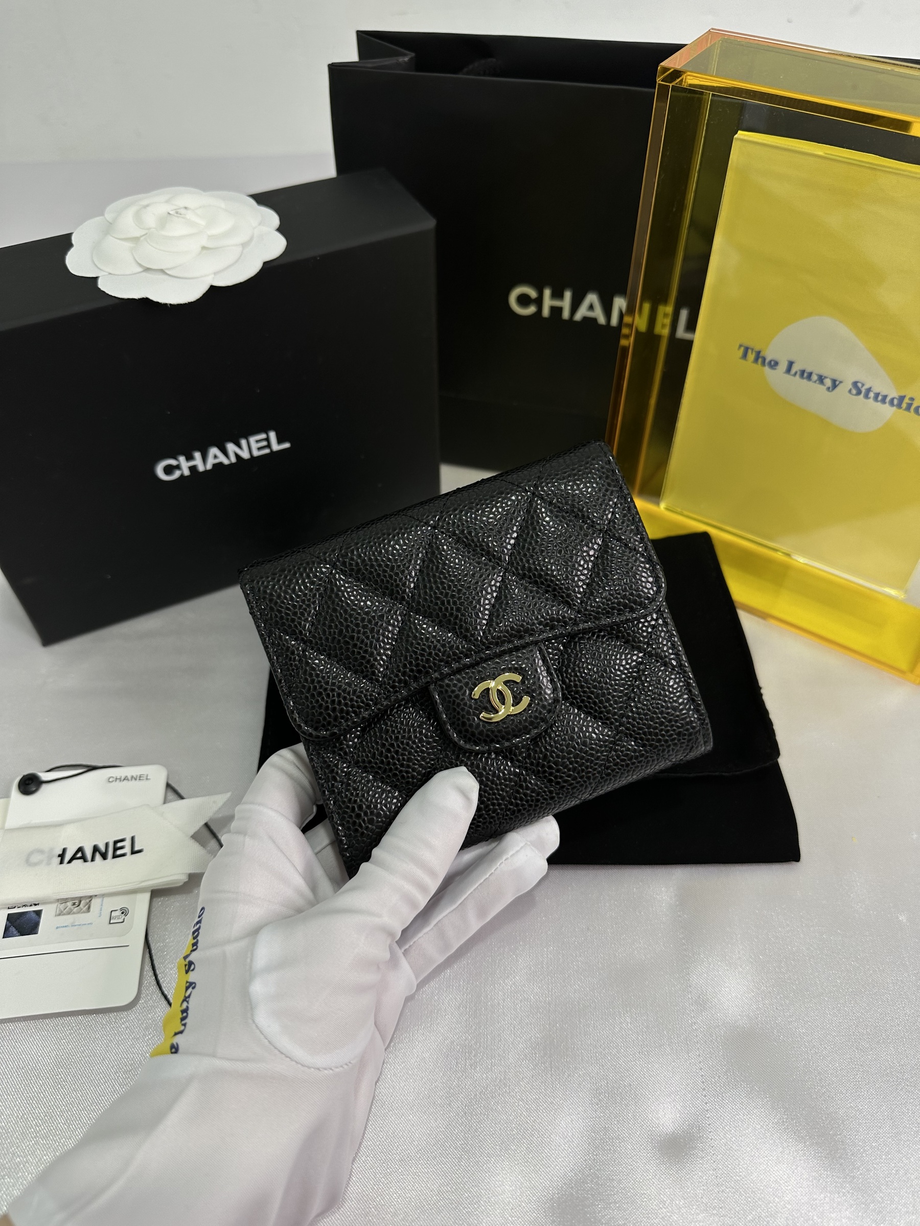 IMG_3581-1705588229942