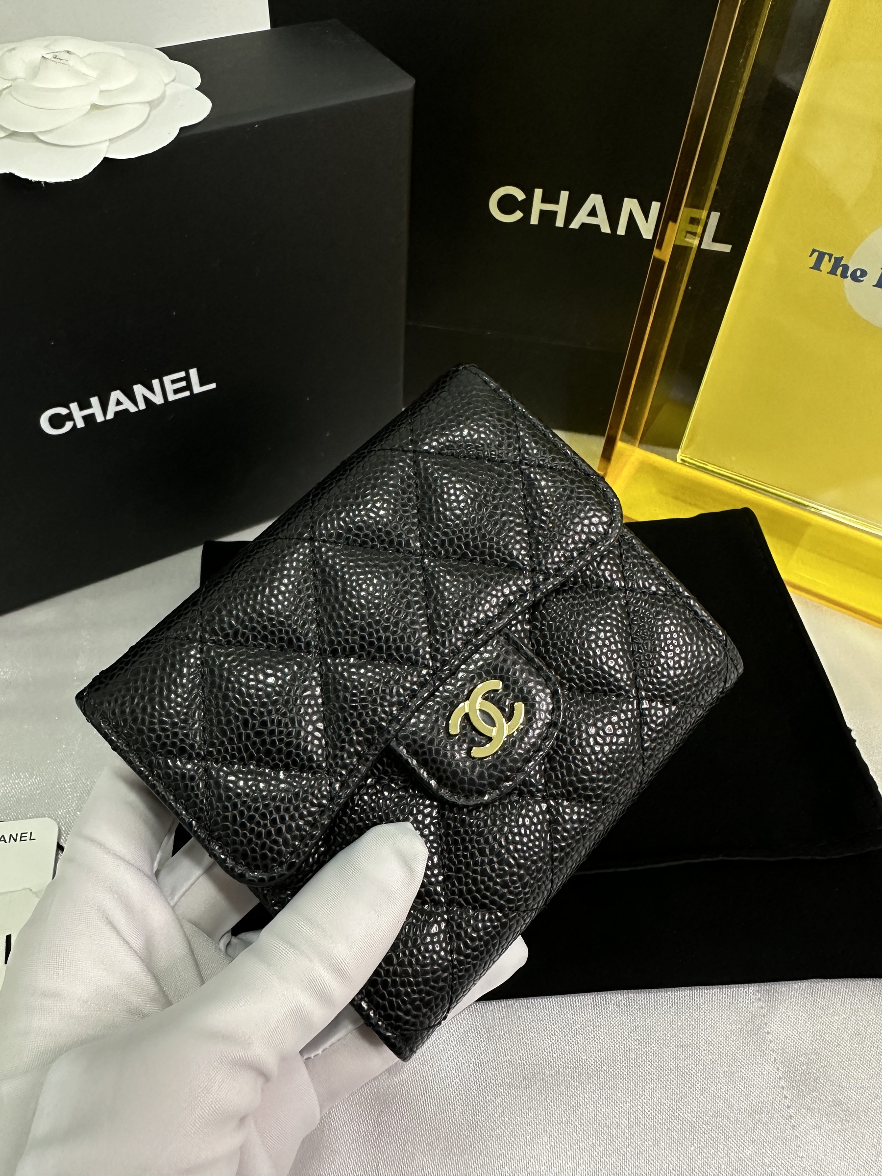 IMG_3576-1705588230084