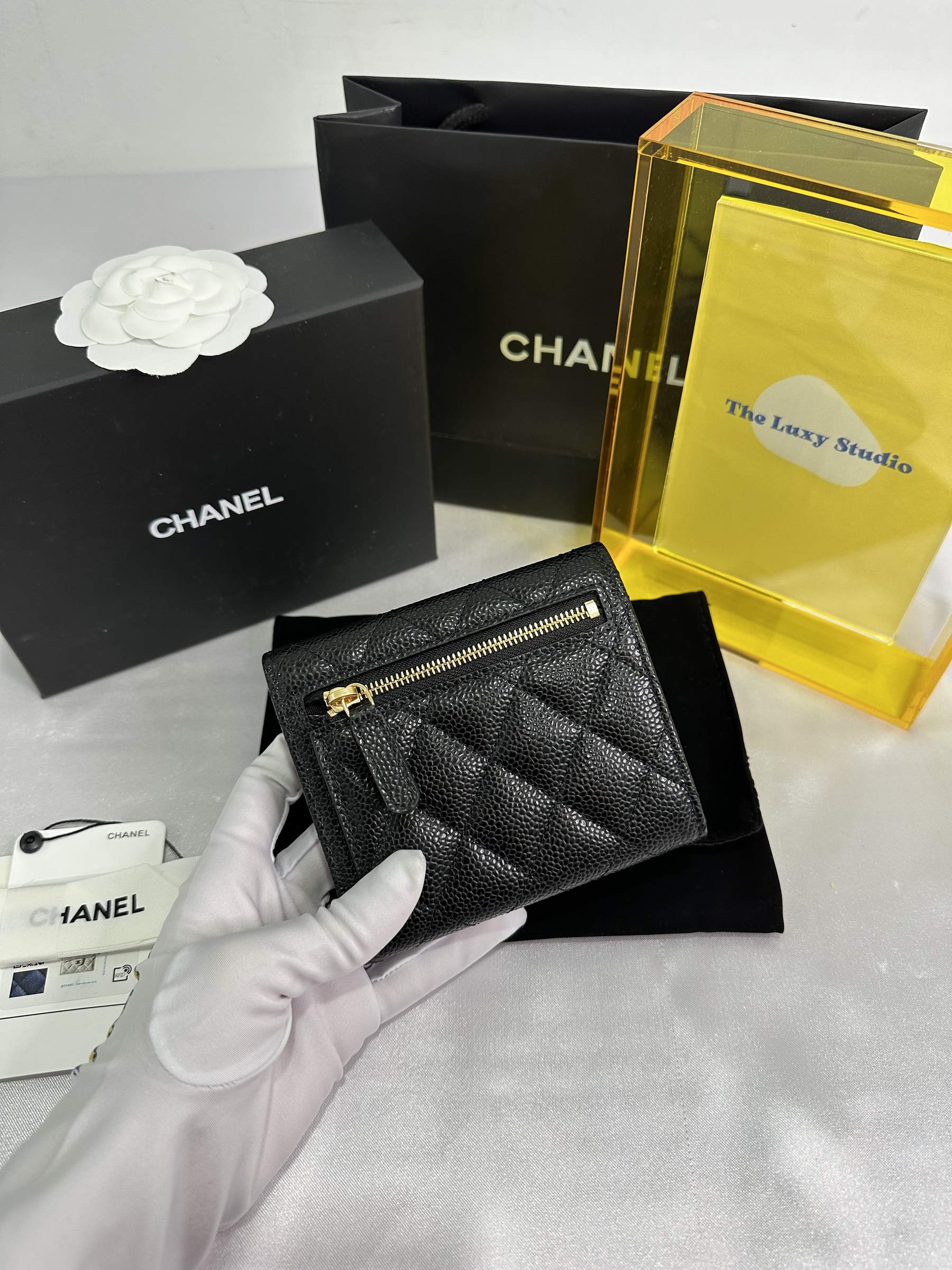 IMG_3575-1705588230246