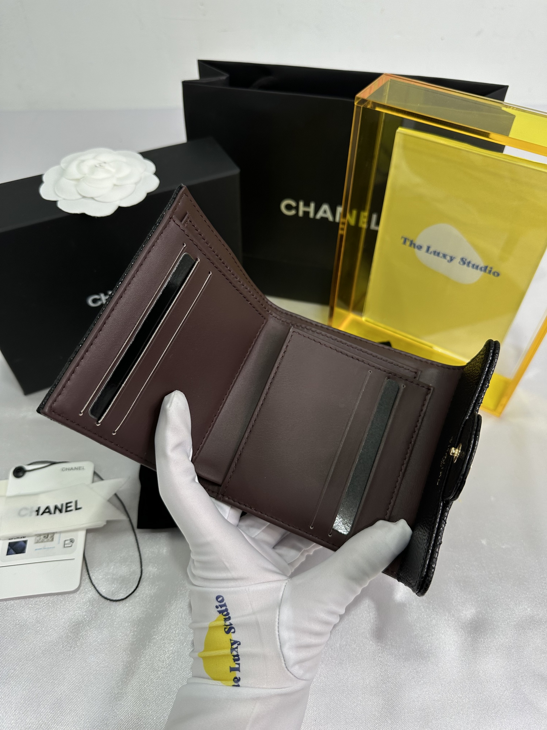 IMG_3578-1705588230506