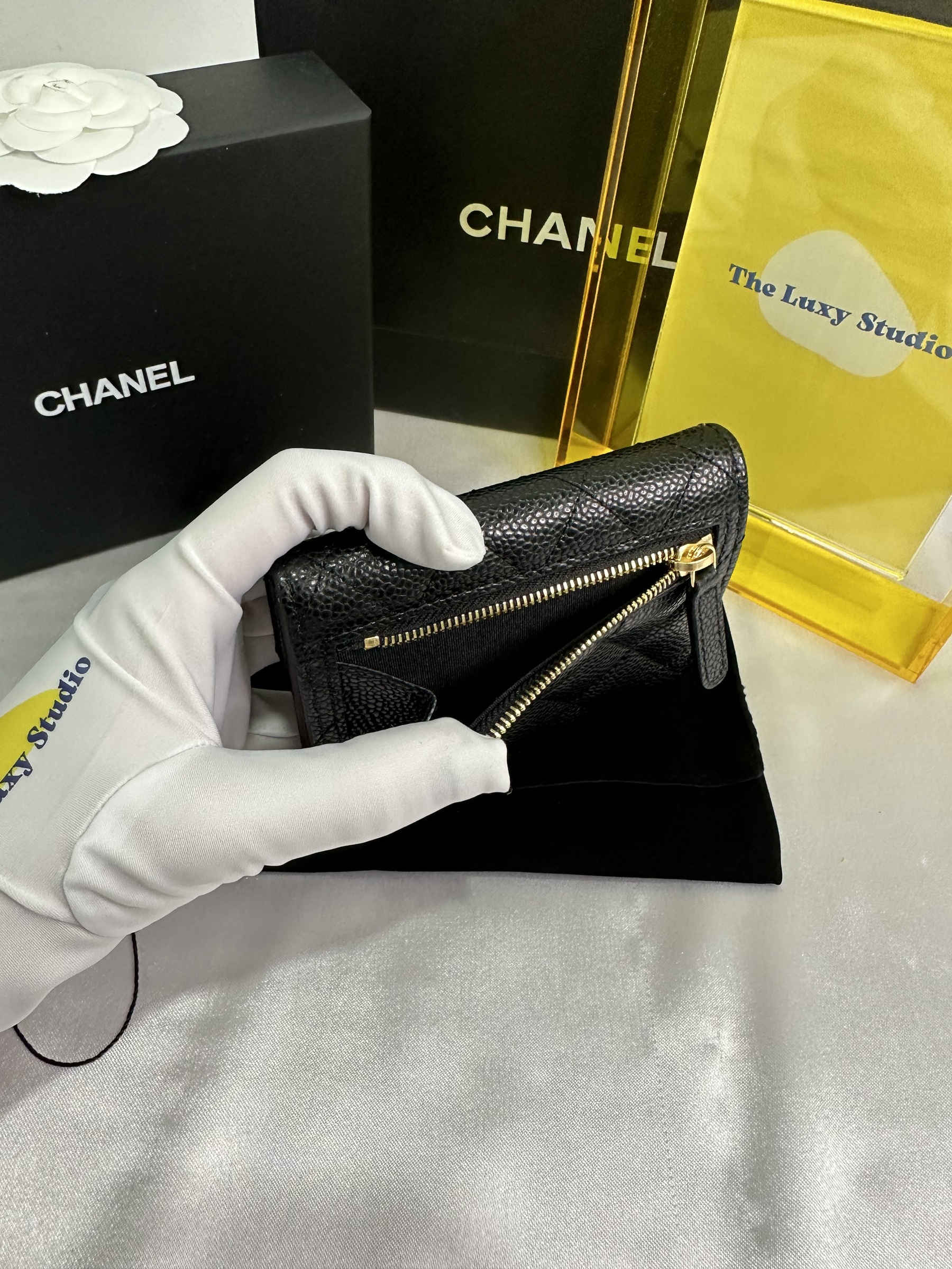 IMG_3587-1705588230892