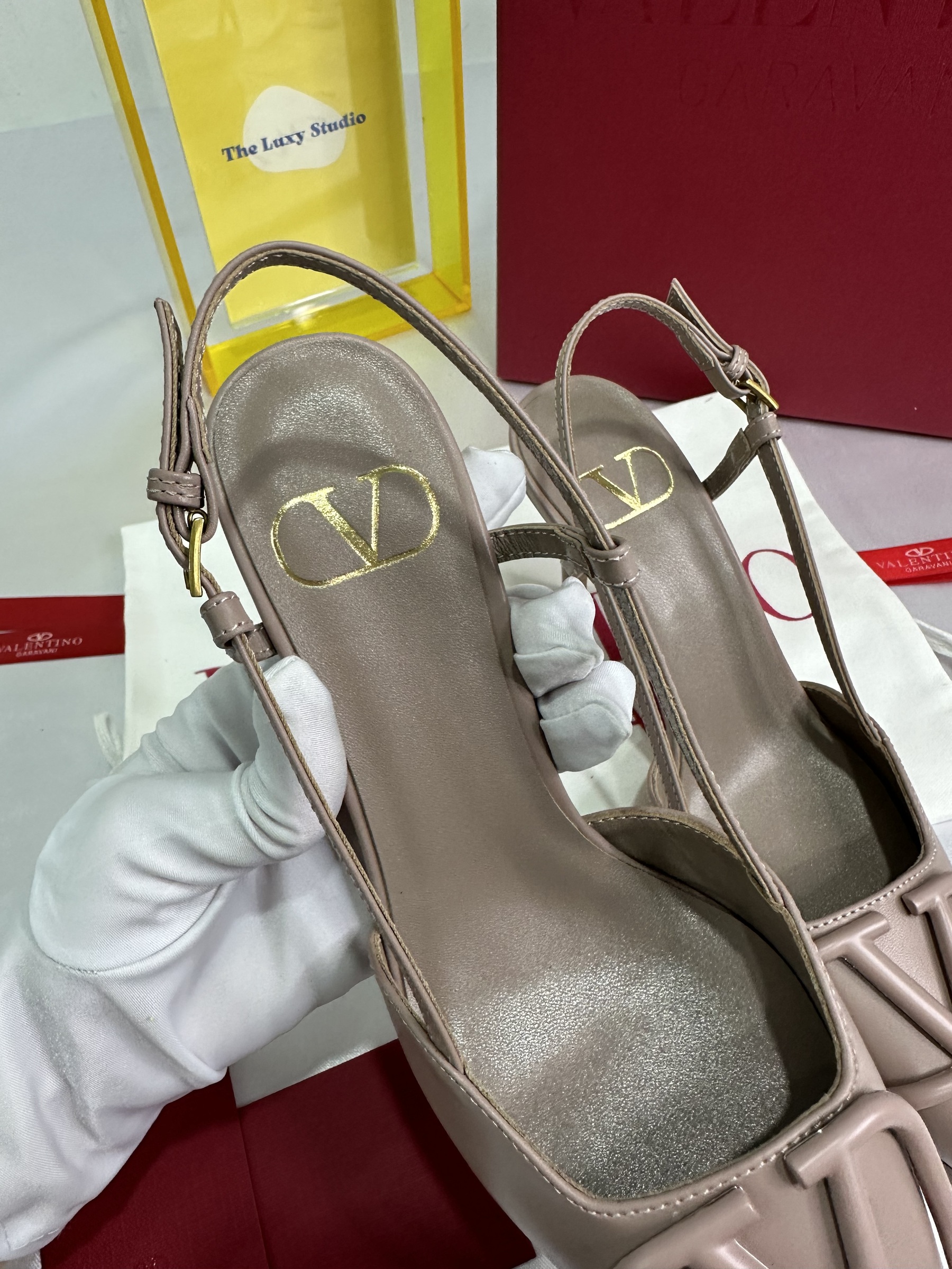 IMG_3727-1705591036862