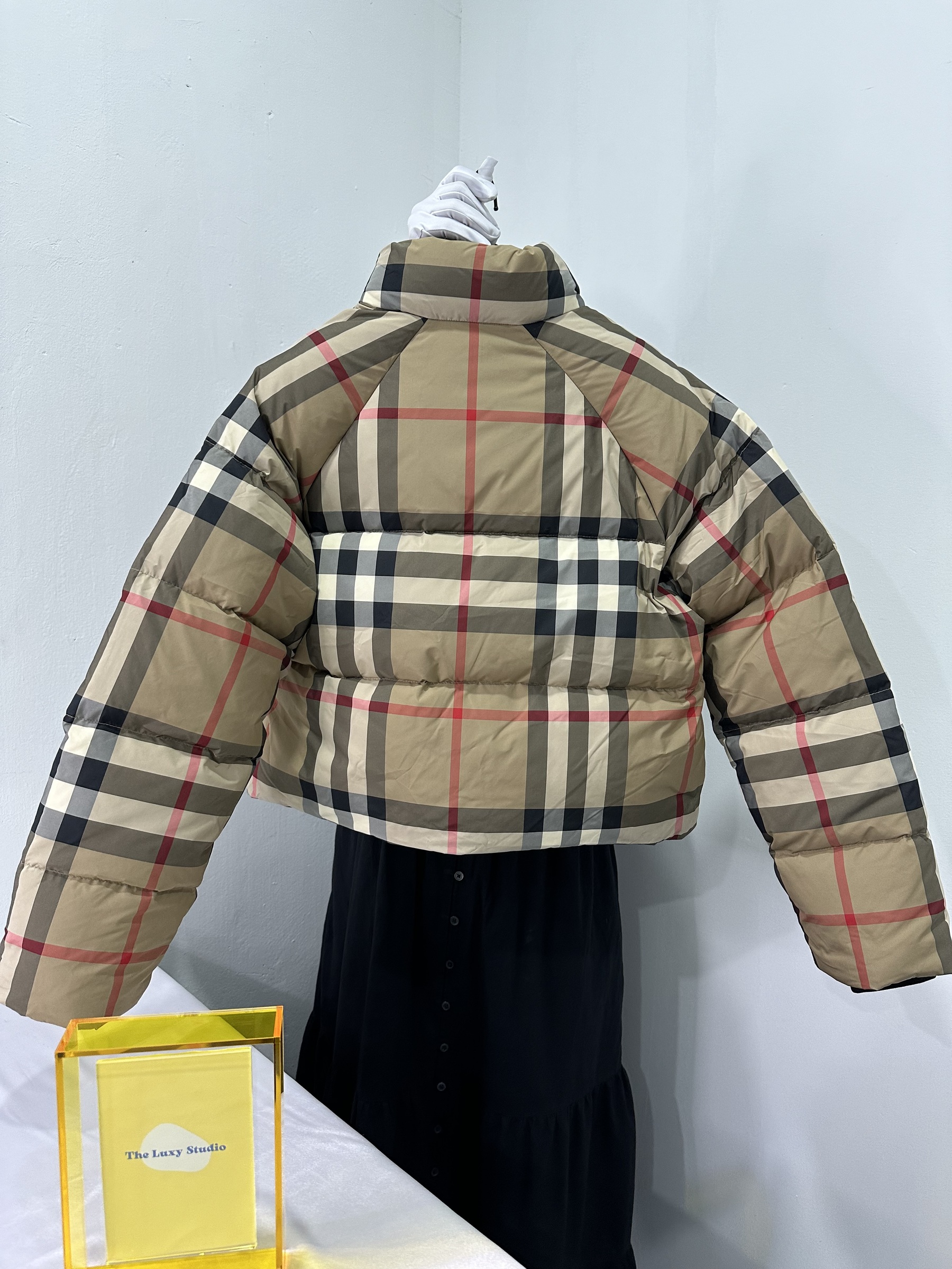 IMG_3900-1706707570166