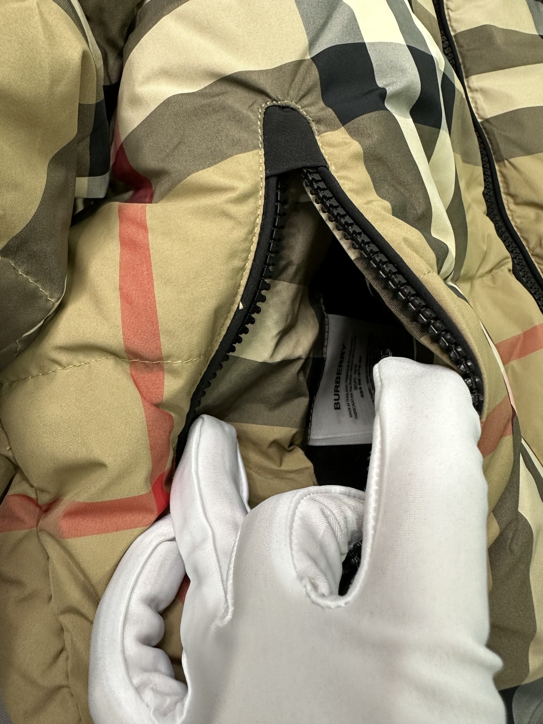 IMG_3908-1706707570711