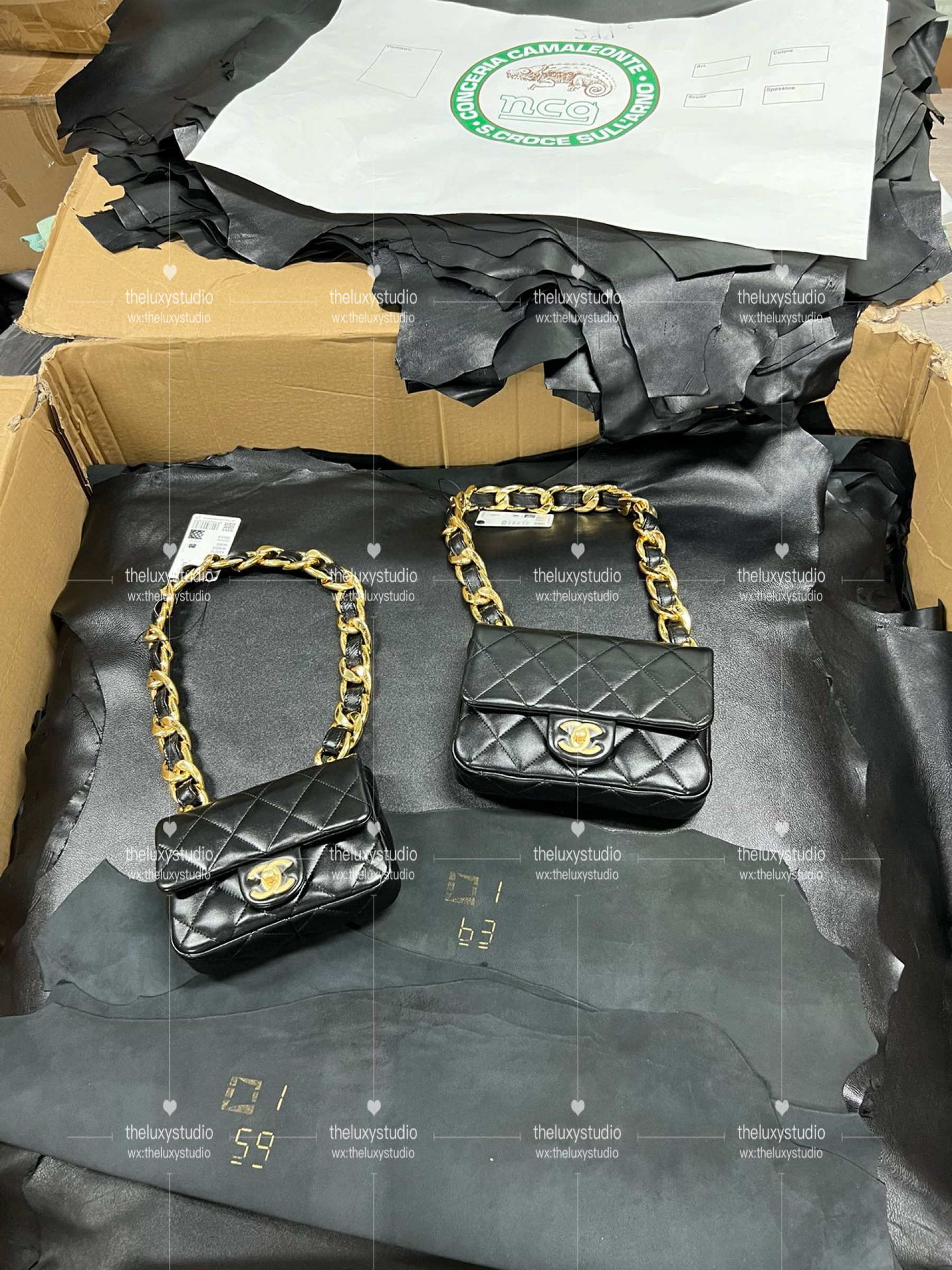 IMG_5518-1709963949692