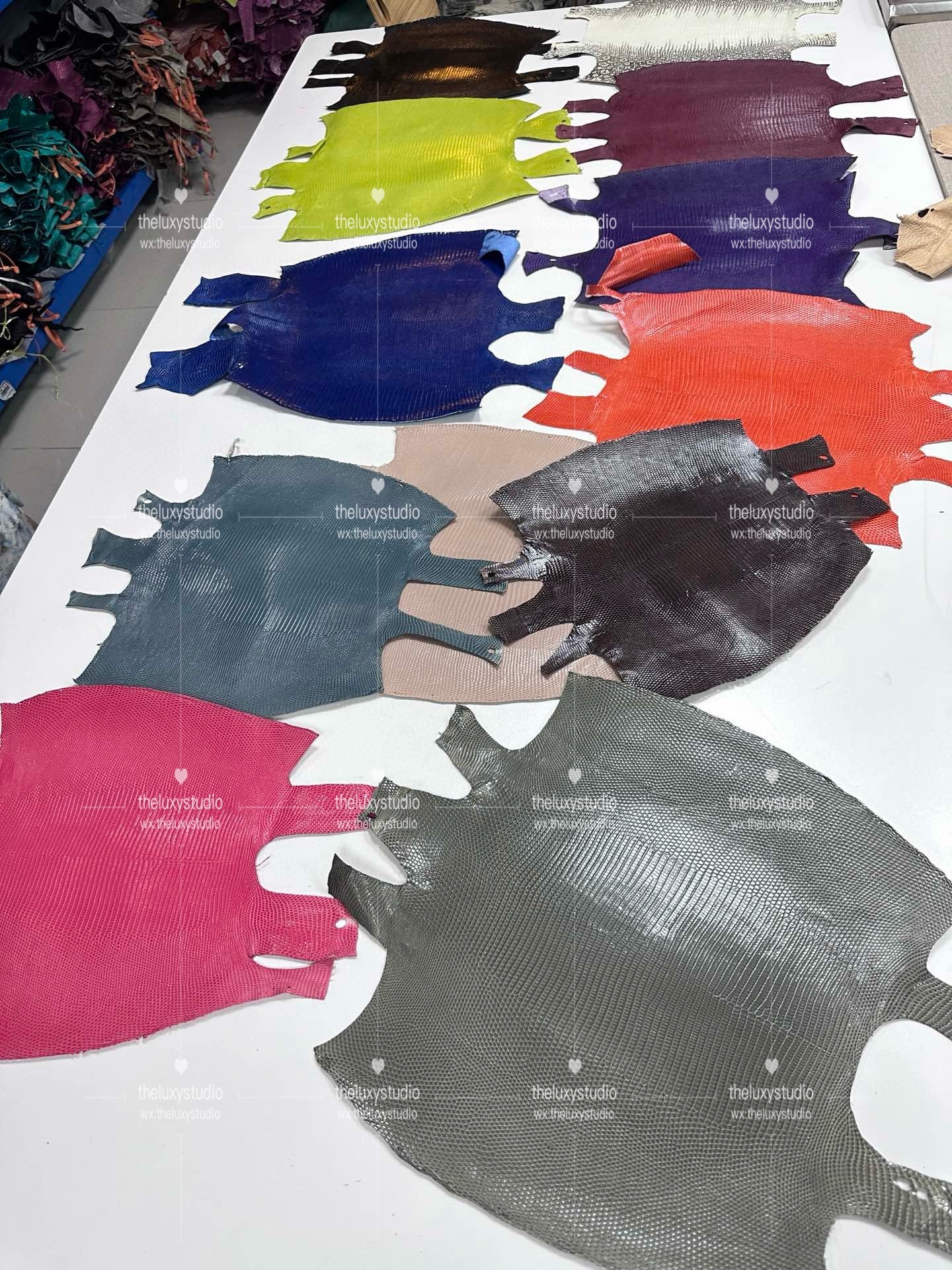 IMG_1705574901-1710054900525