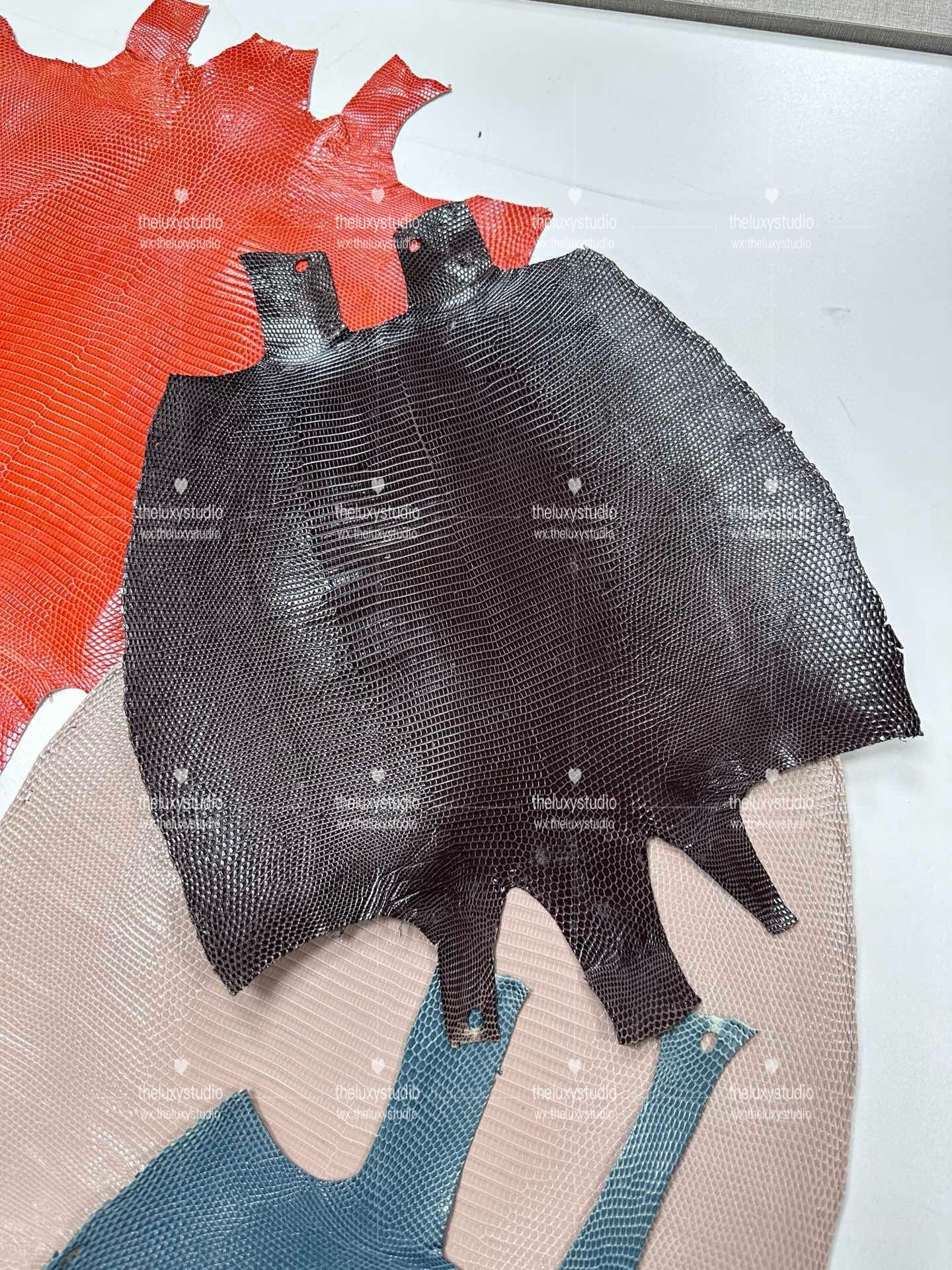 IMG_1705574902-1710054900531