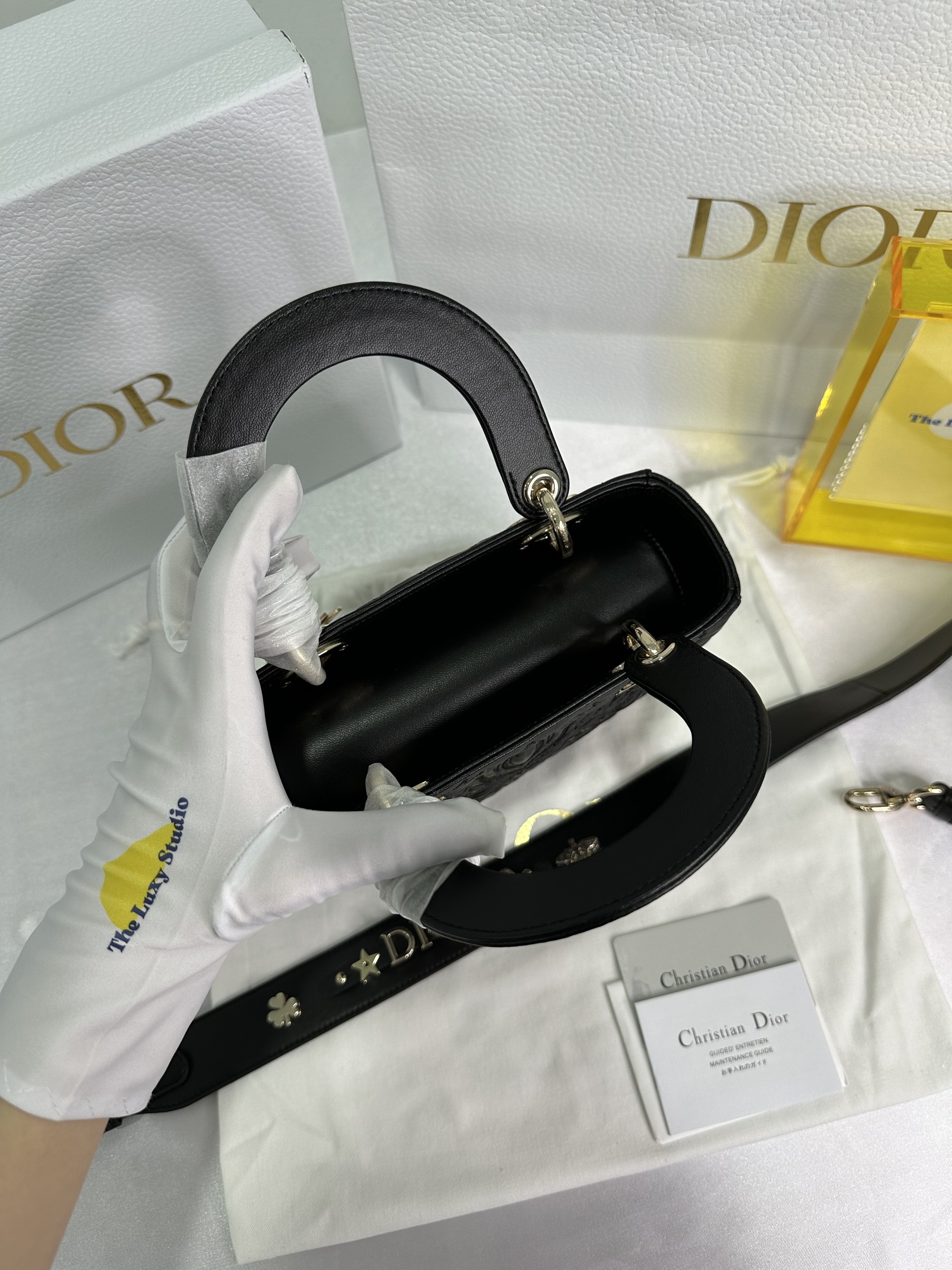 IMG_5449-1711350247935