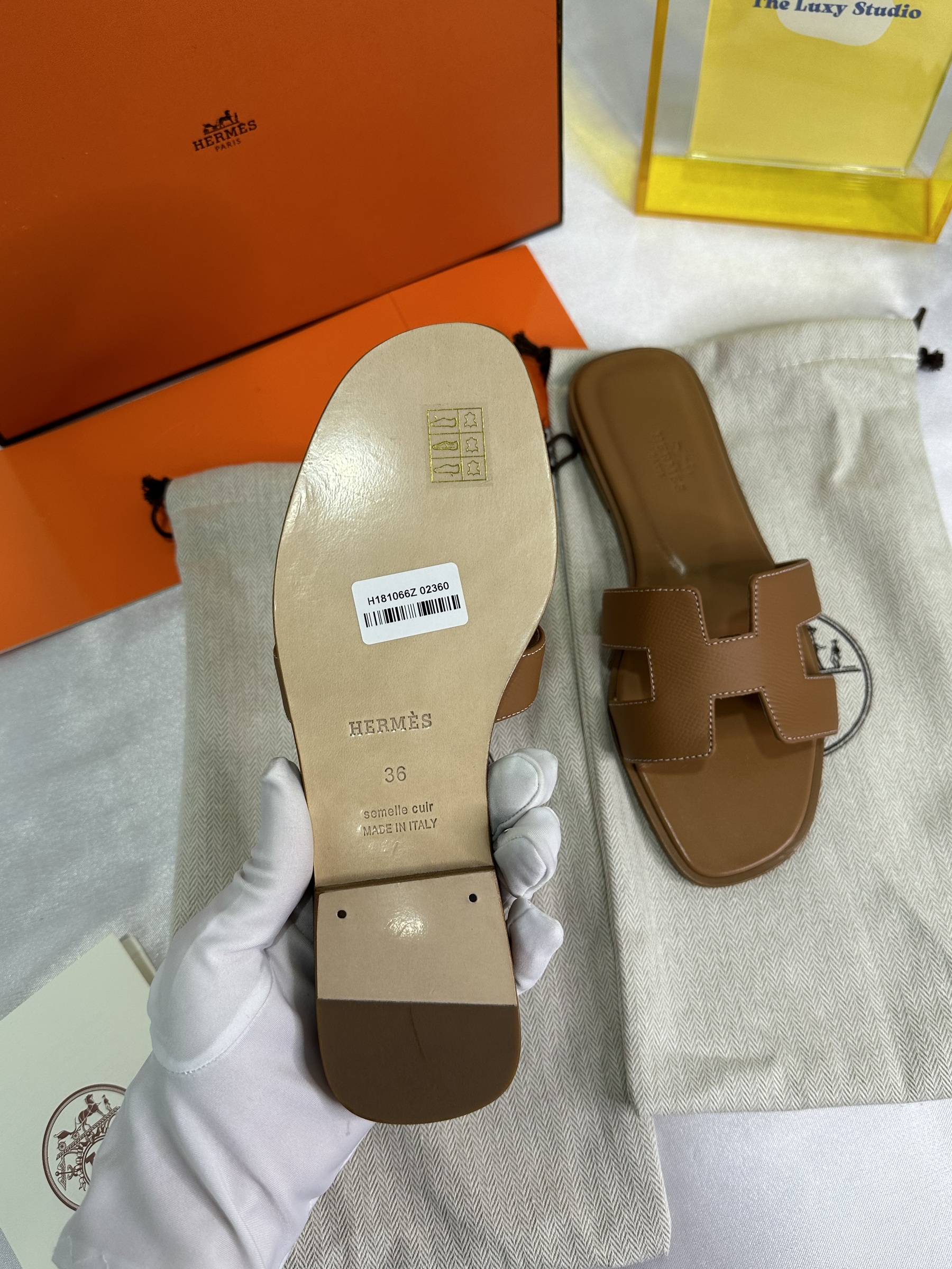 IMG_6008-1711368633358