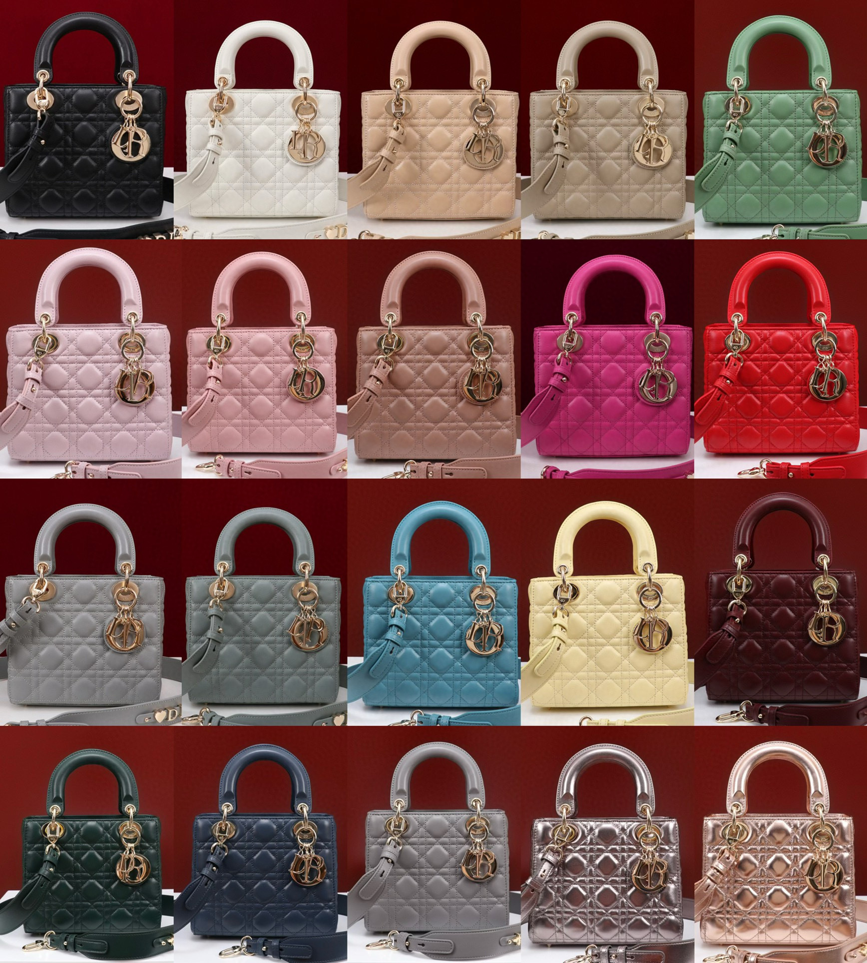 IMG_6786-1711370247693