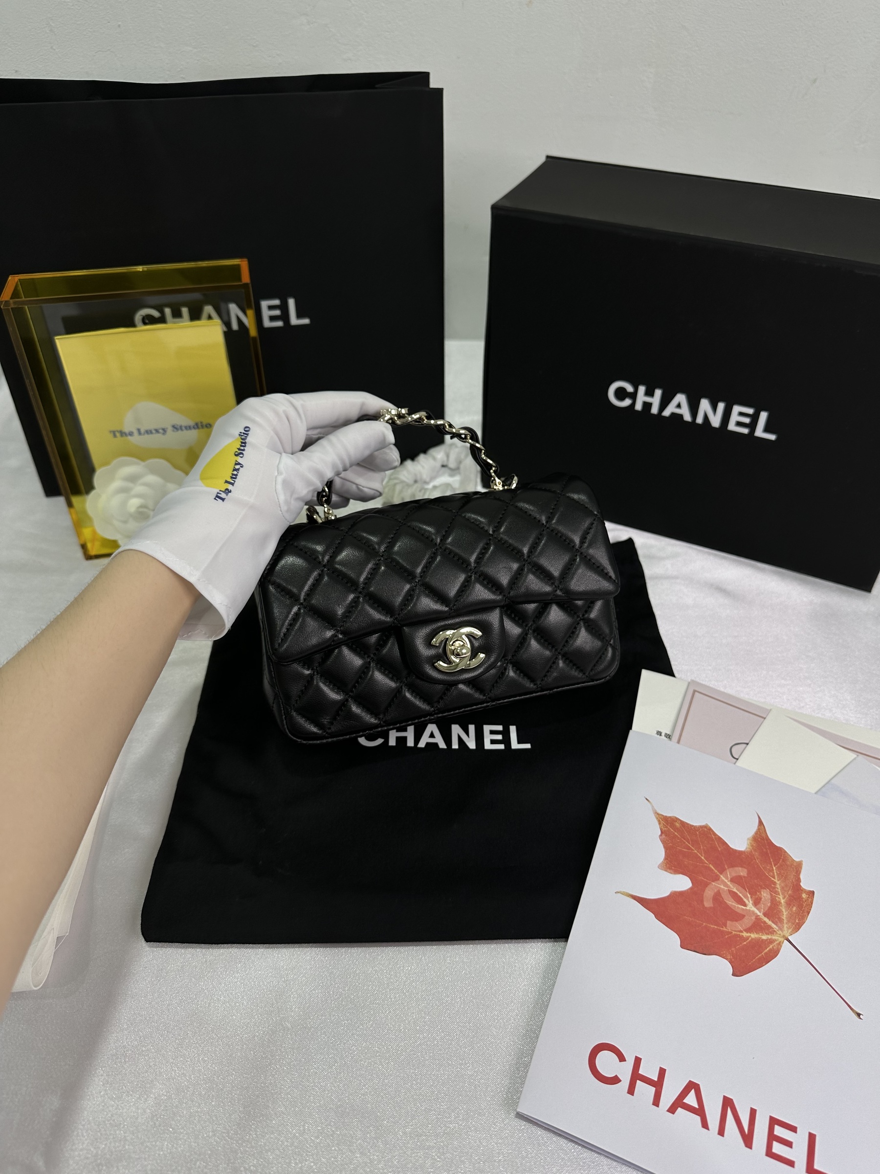 IMG_6443-1714484340328