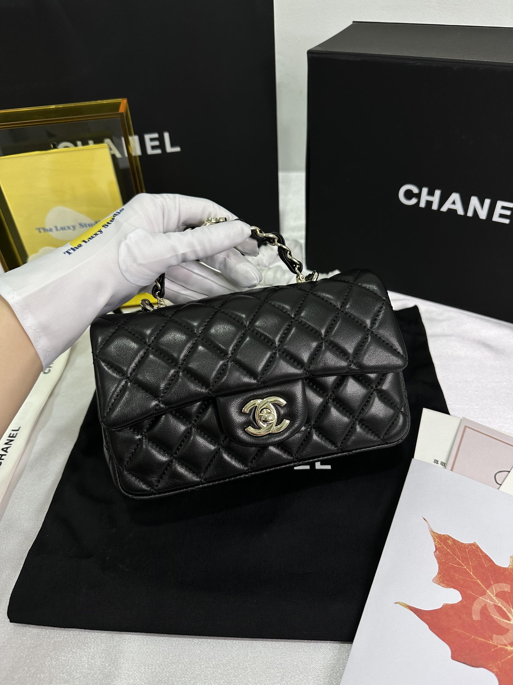 IMG_6445-1714484340471