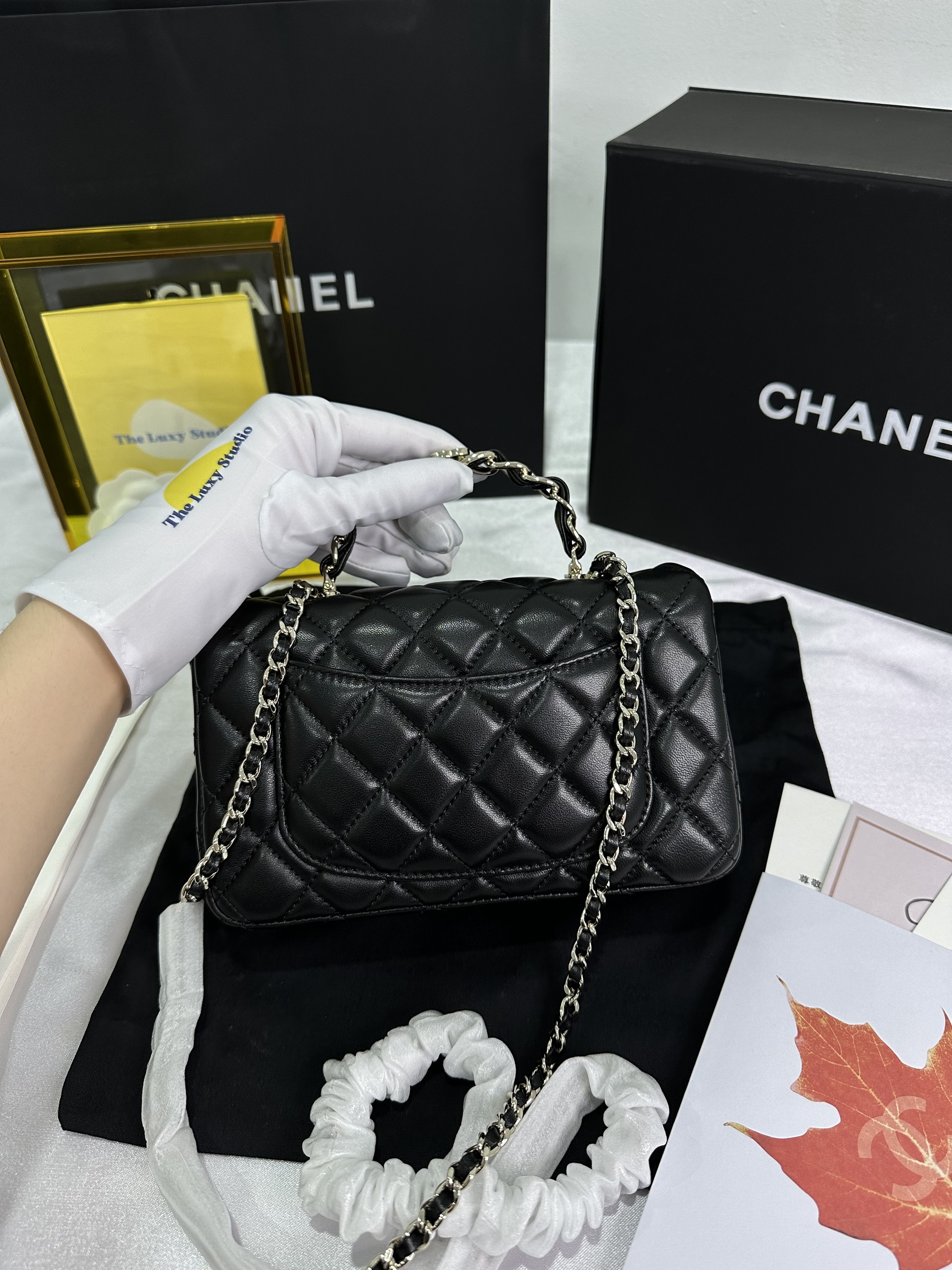 IMG_6447-1714484340618