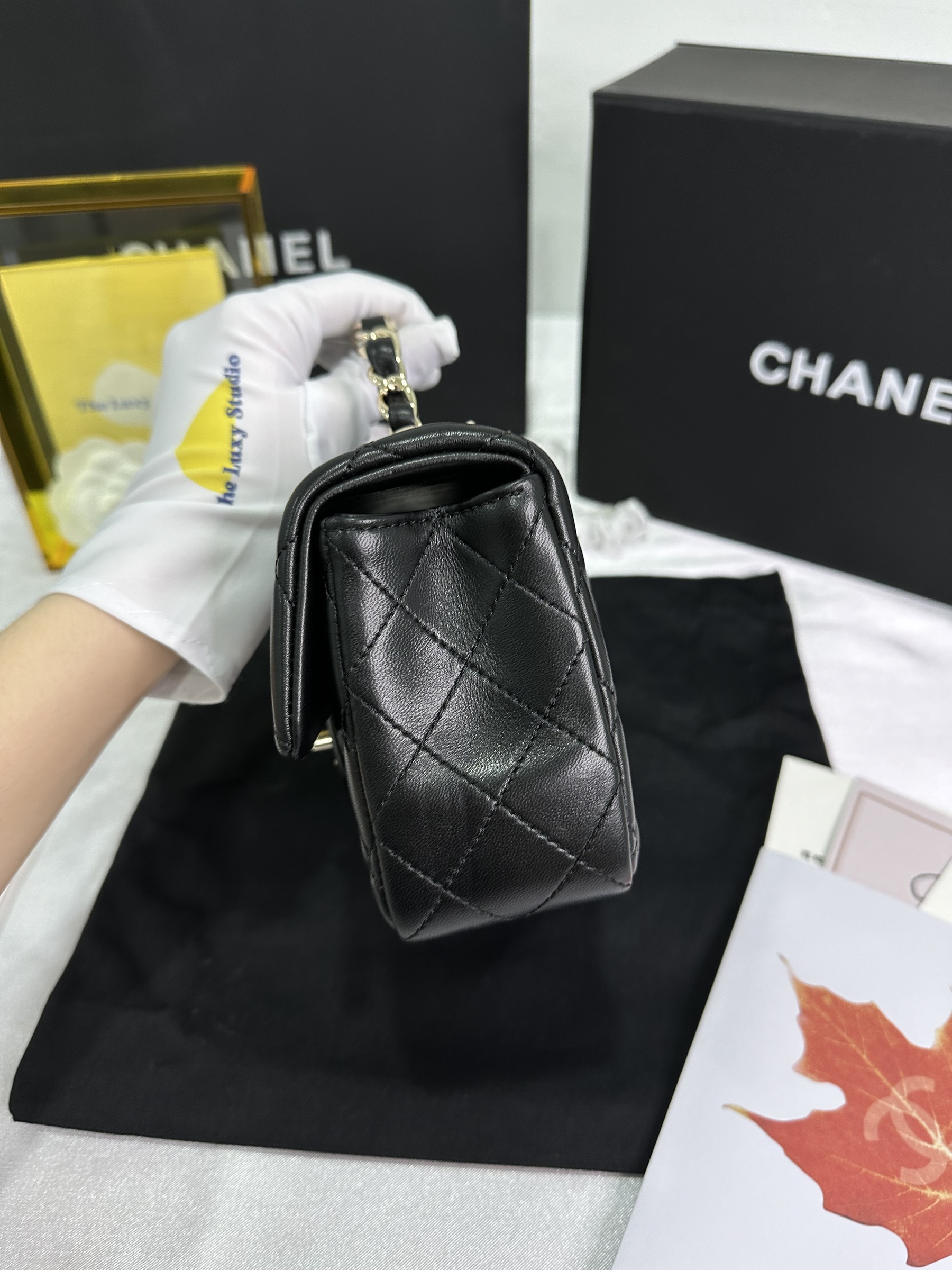 IMG_6446-1714484340760