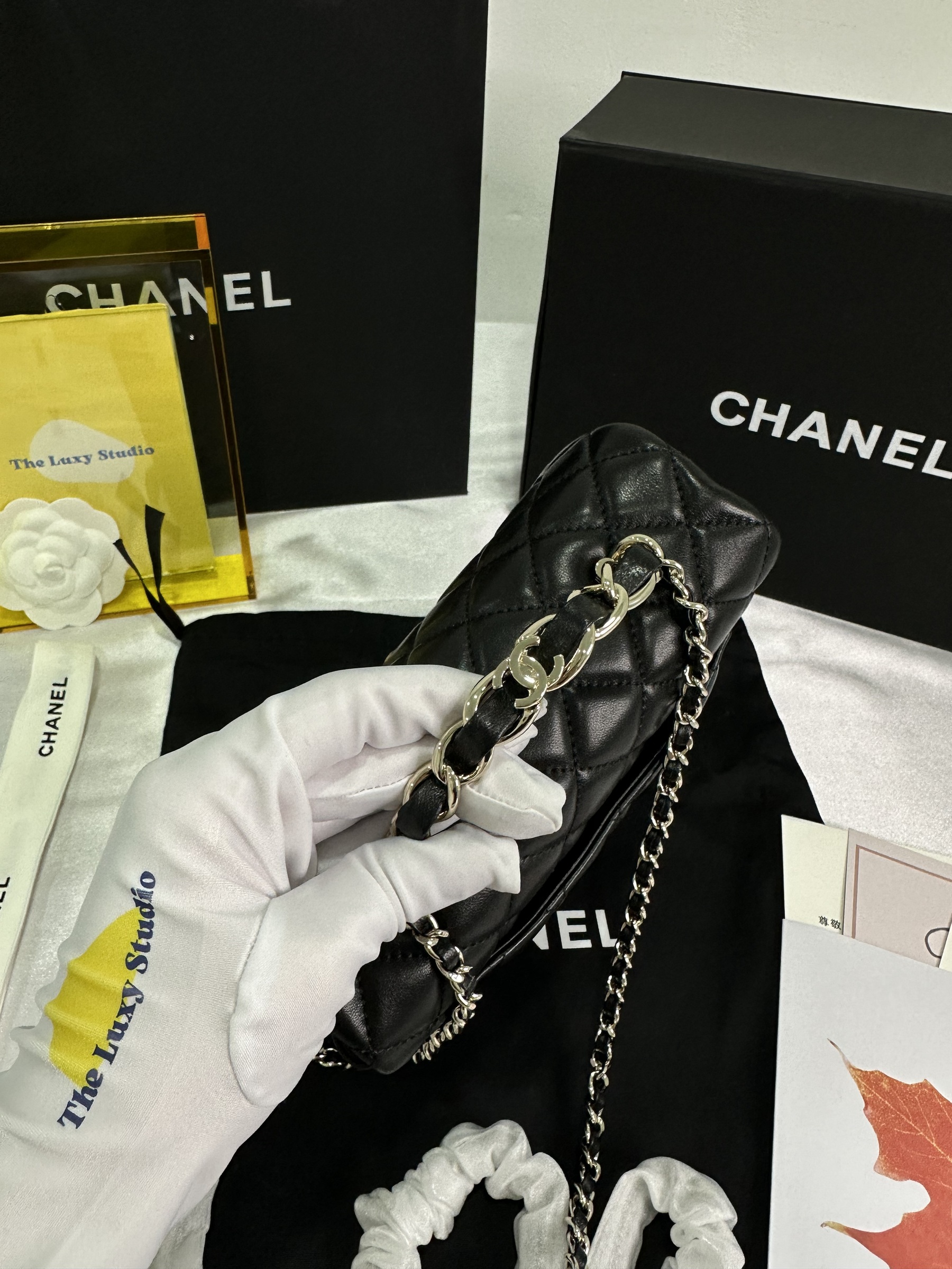 IMG_6448-1714484340881