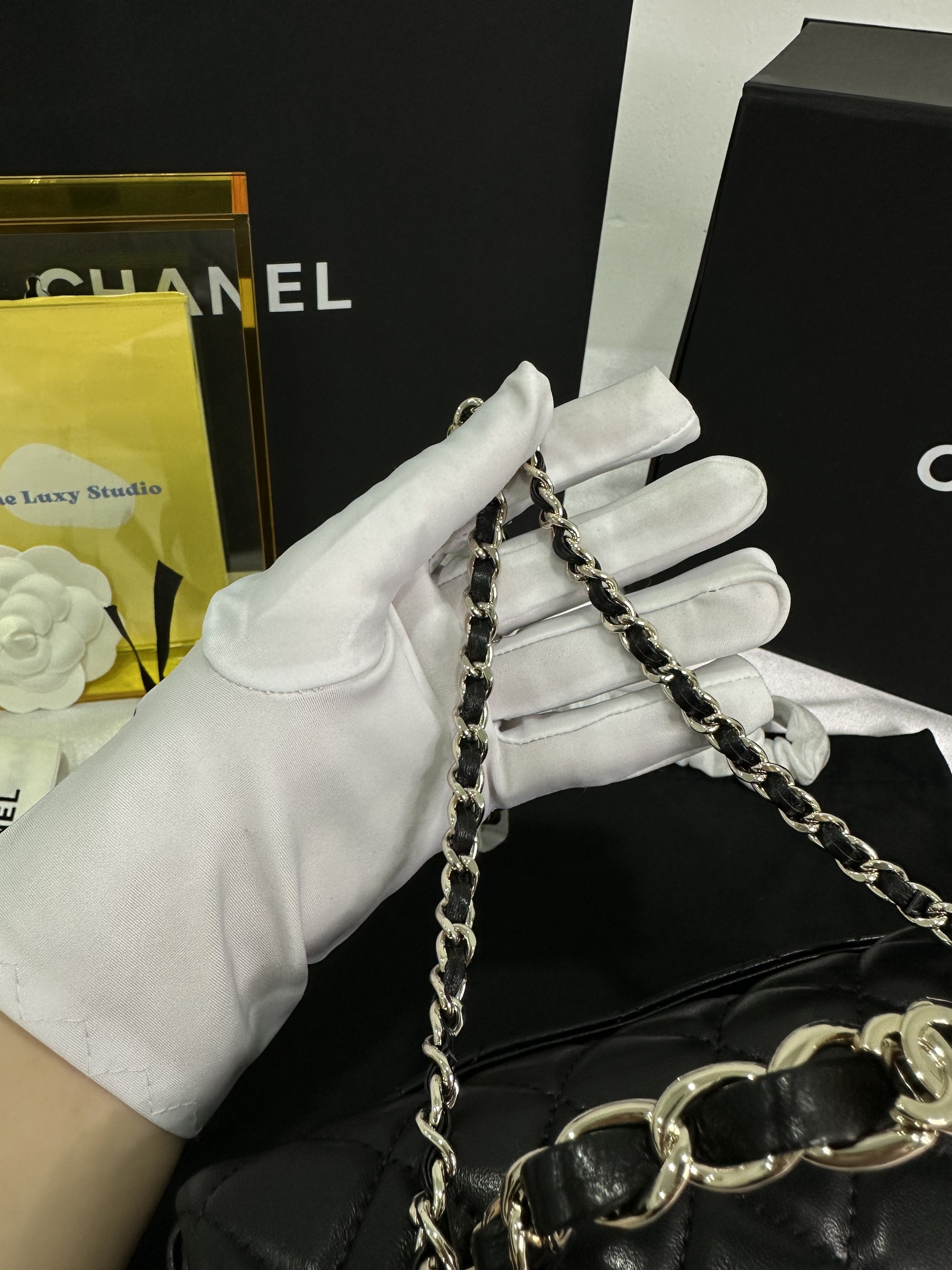 IMG_6451-1714484341115