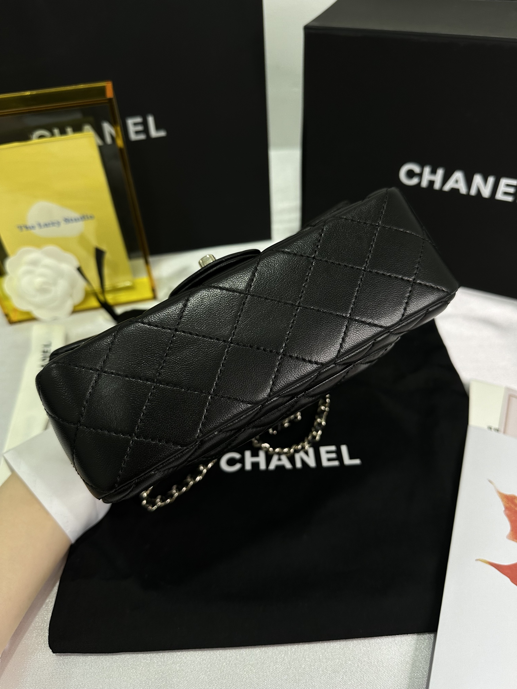 IMG_6452-1714484341247