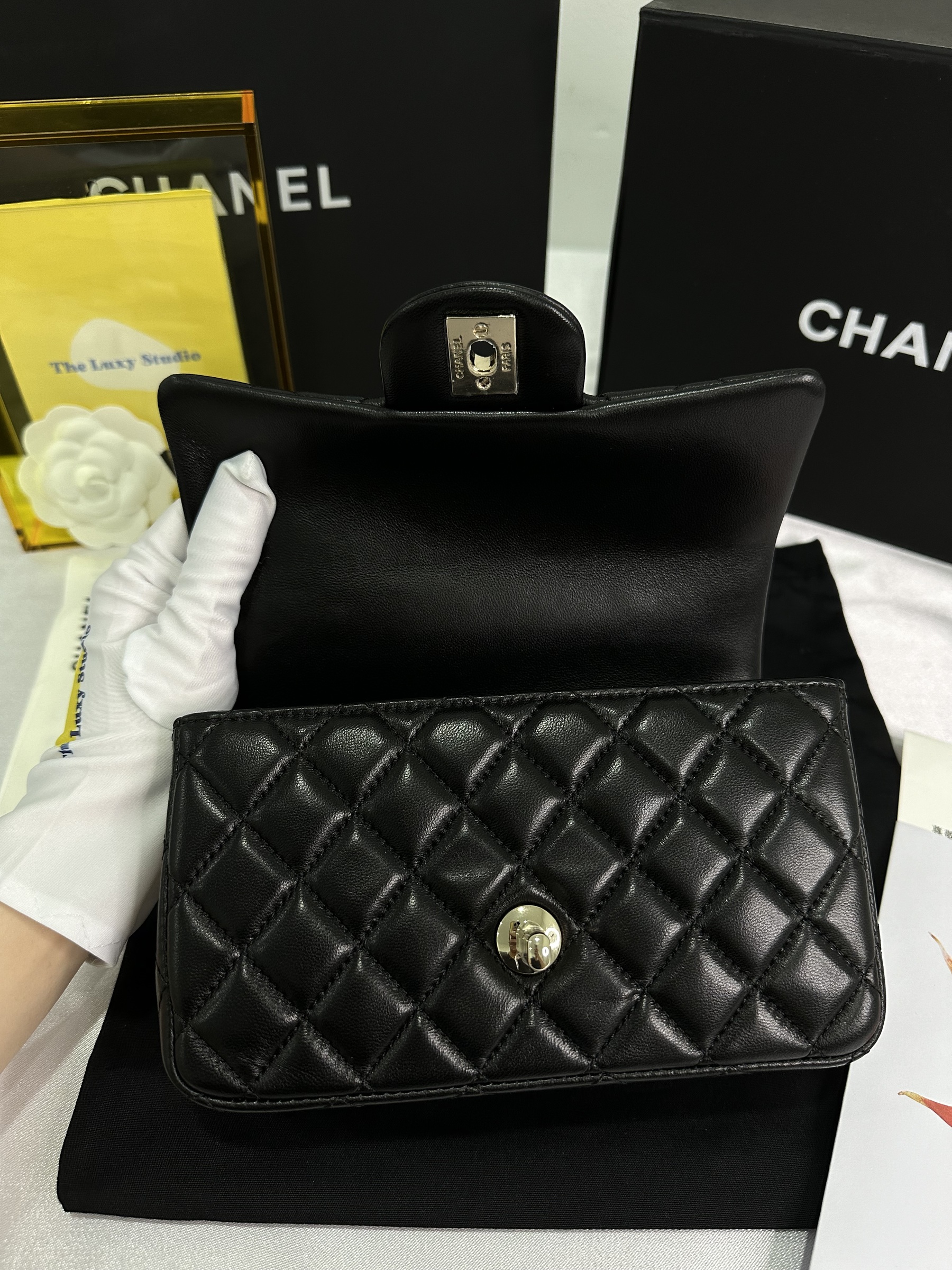 IMG_6453-1714484341359