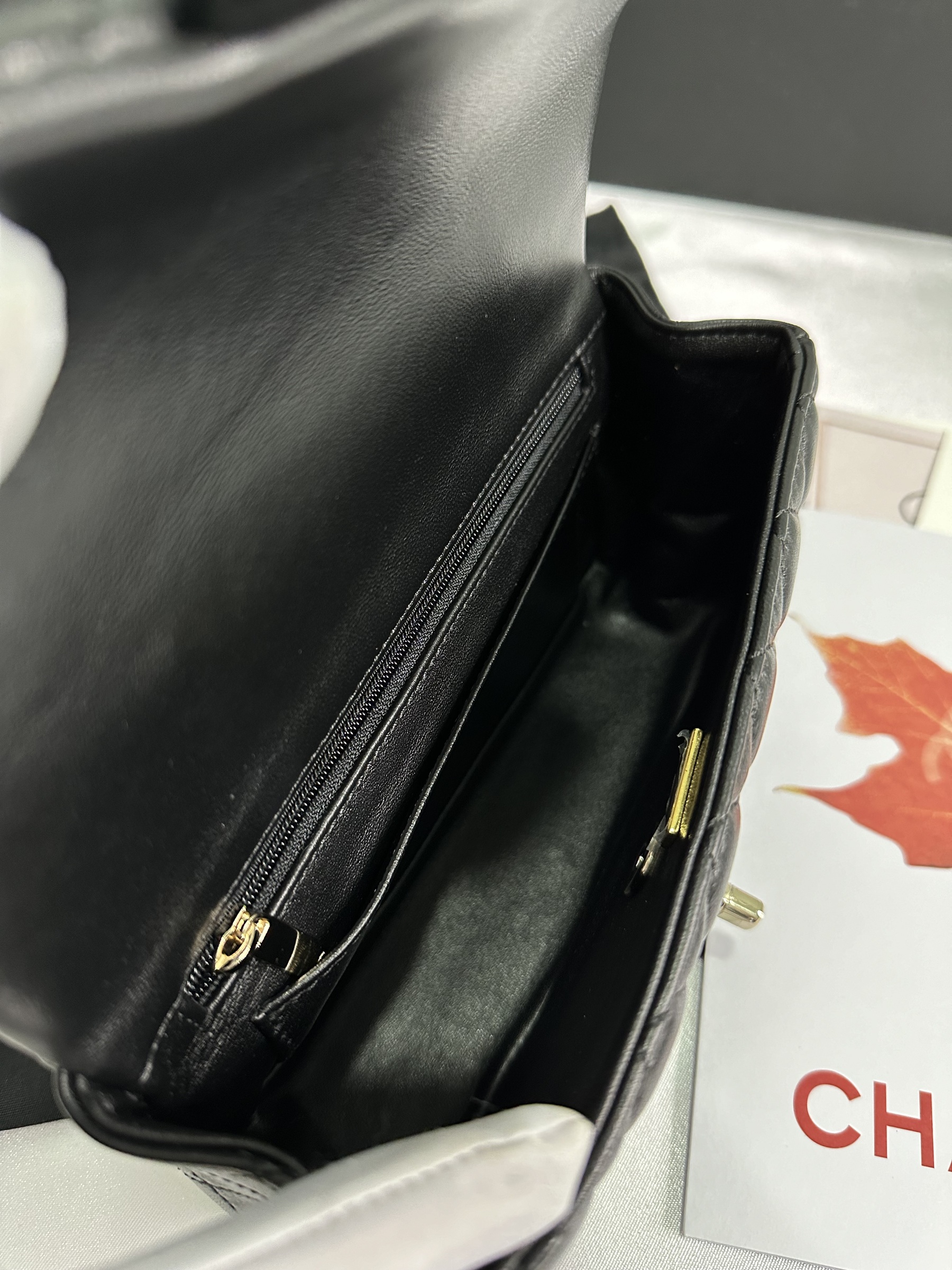 IMG_6454-1714484341479