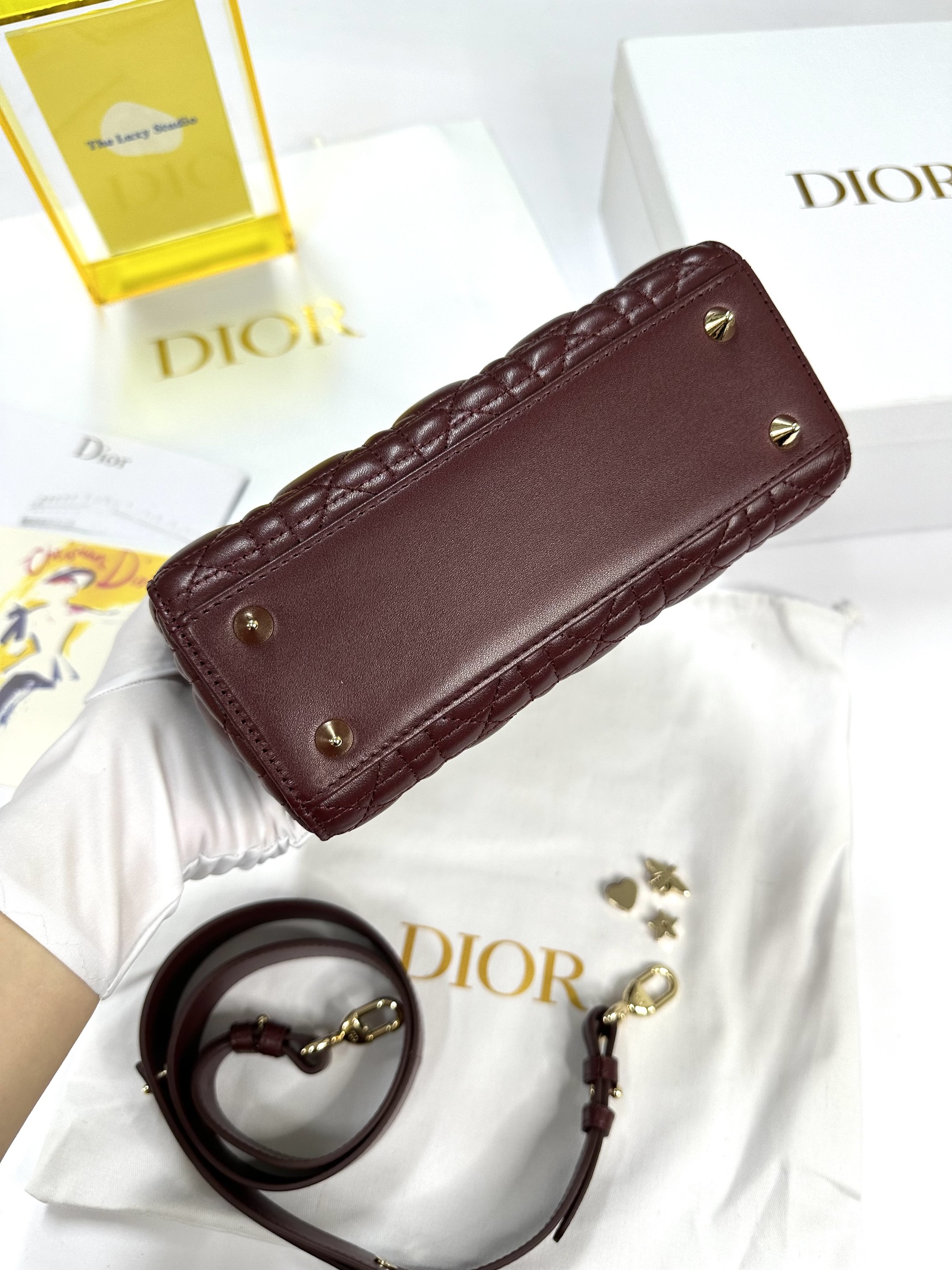 IMG_7330-1714487225931