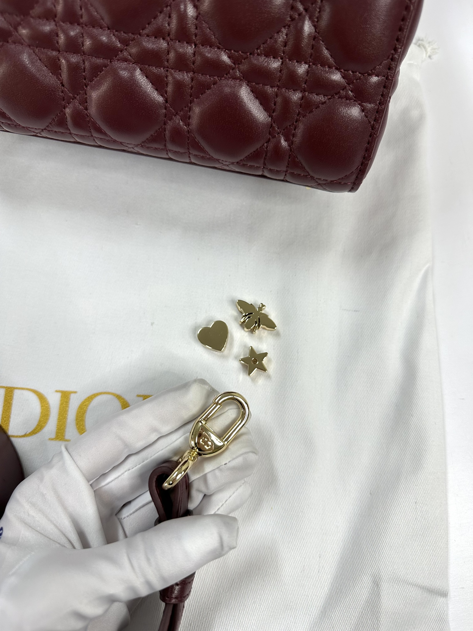 IMG_7329-1714487226403