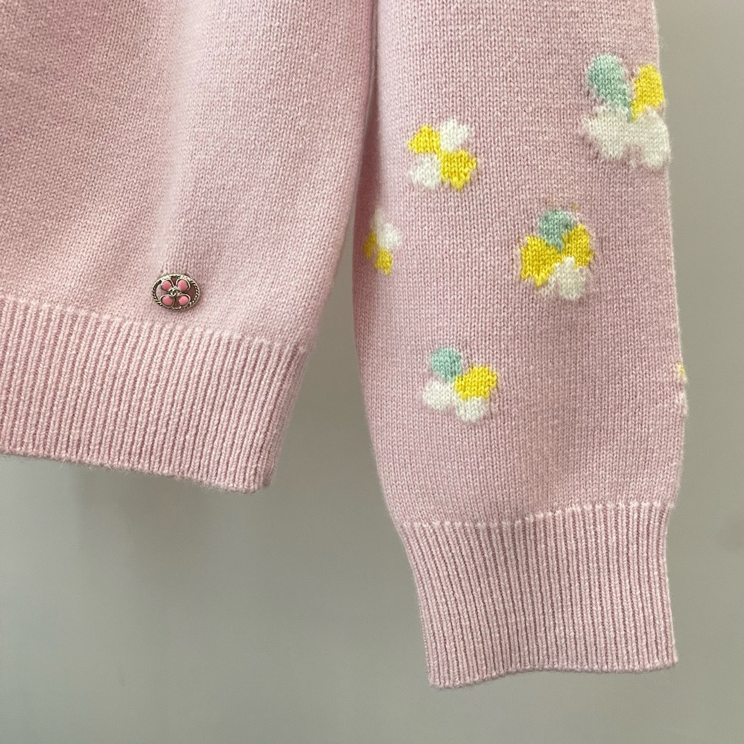 IMG_8812-1714912302385