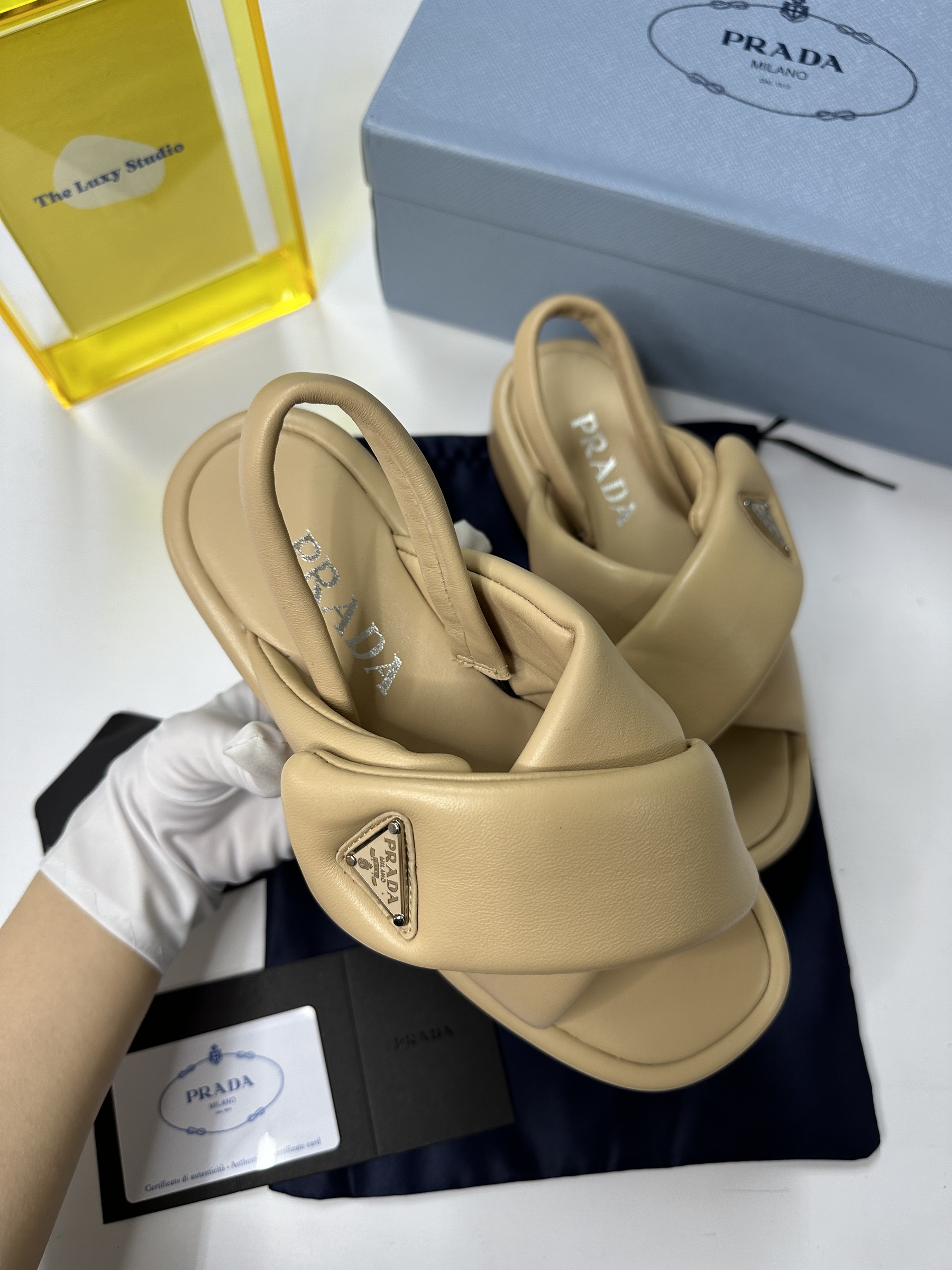 IMG_7550-1715524964859