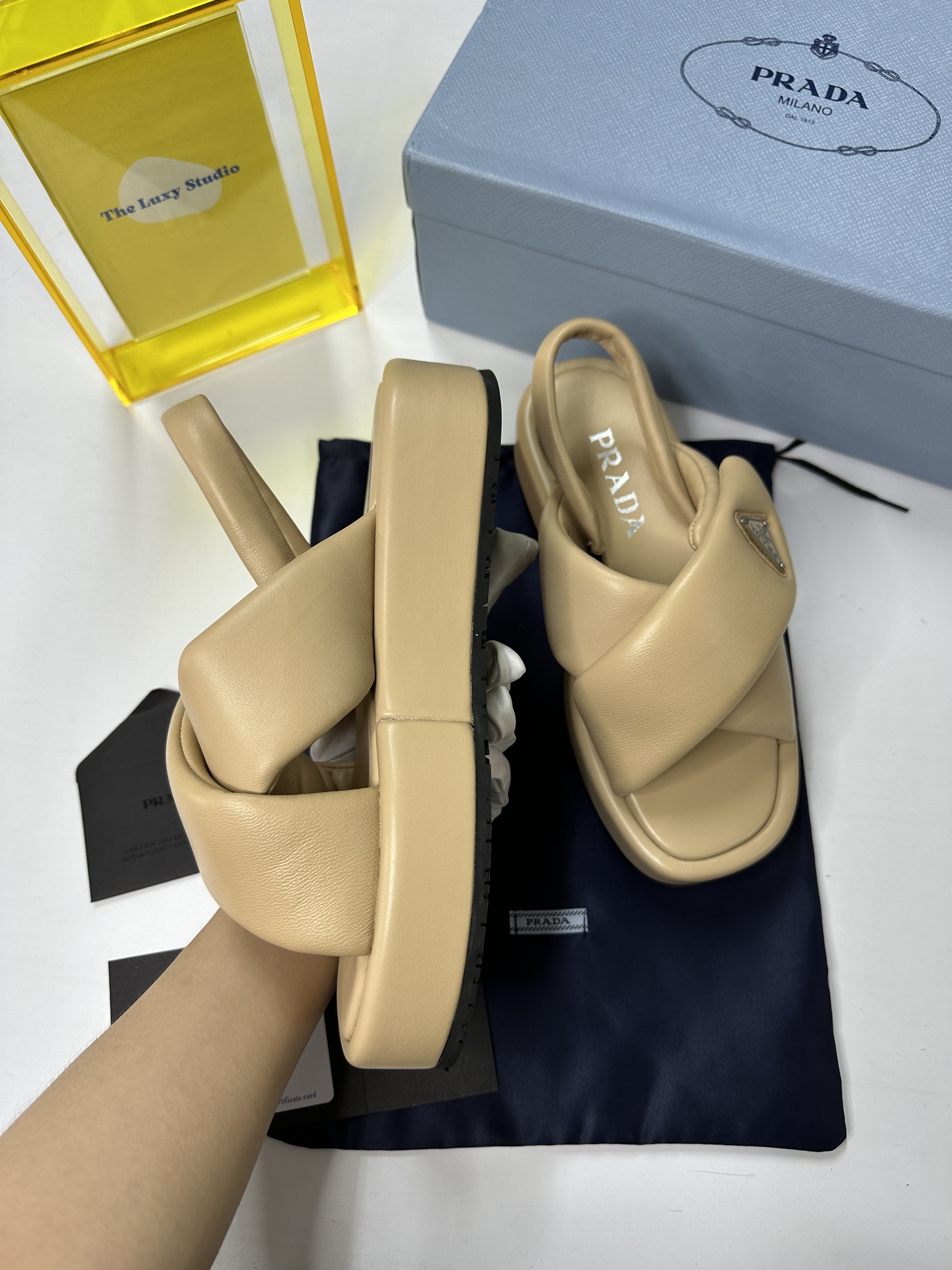 IMG_7549-1715524965114