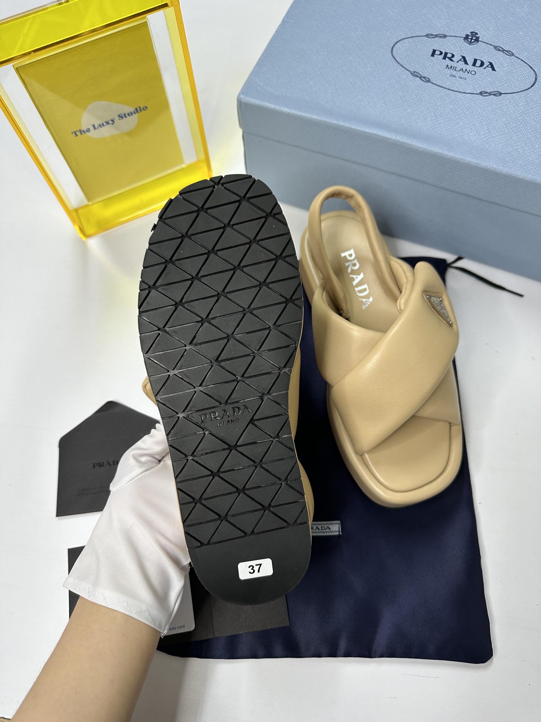 IMG_7551-1715524965236